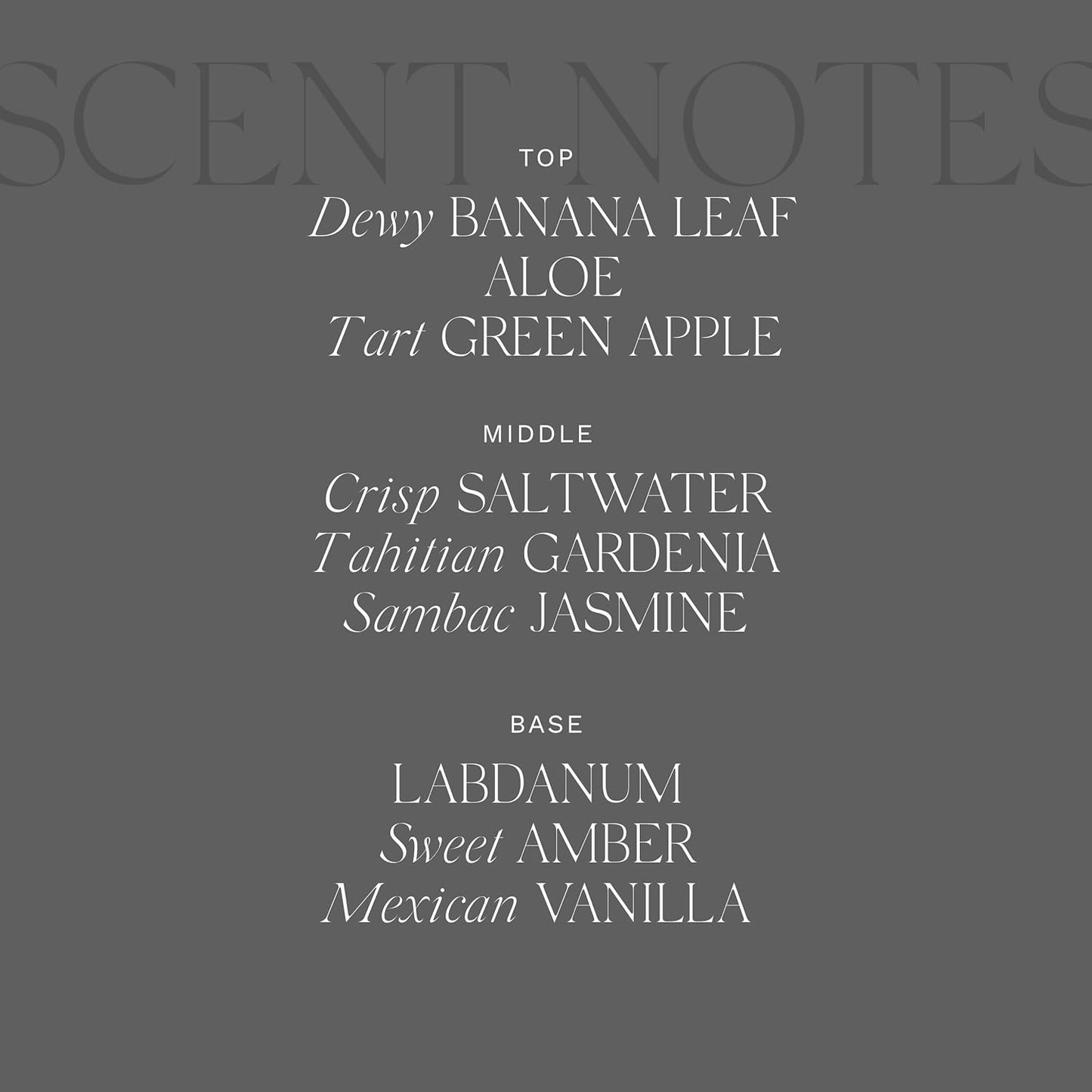 Antica Farmacista Home Ambiance Diffuser - Long-Lasting Reed Scent Diffuser - Luxury Room Freshener Gift - Lush Palm, 16.9 fl oz