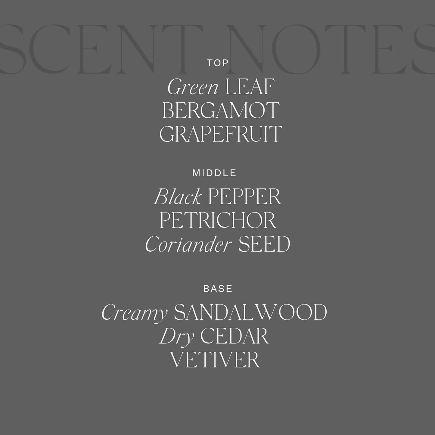 Antica Farmacista Home Ambiance Diffuser - Long-Lasting Reed Scent Diffuser - Luxury Room Freshener Gift - Tarmac, 10.8 fl oz