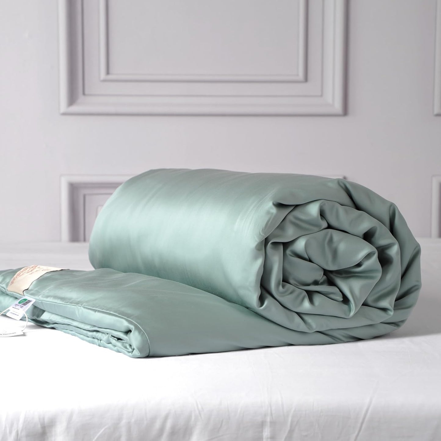 CUDDLE DREAMS Silk Filled Comforter for All Season, Detachable Tencel Duvet Cover for Easy Care, Naturally Breathable (Celadon, Queen)