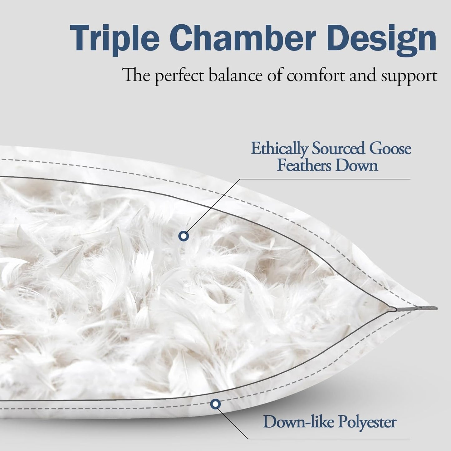 BPC Goose Feather Down Pillows Standard Size Set of 2, Luxury Feather Pillows for Sleeping, 100% Organic Cotton Cover, Soft Support Surround Fill Polyester, Hotel Collection Bed Pillows 20"x26"