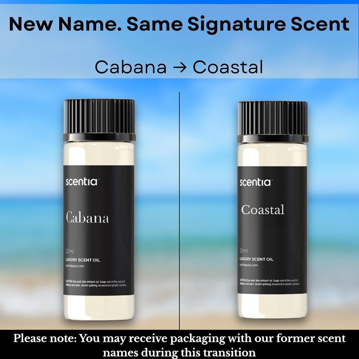 Scentia Hotel Diffuser Oil Inspired by 5-Star Hotel Scent - 20 mL 0.67 fl oz - Fragrance Oil Blend Botanical Jasmine, Bergamot & Fresh Marine Notes Aromatherapy Diffusers - Cabana, Thanksgiving Gift