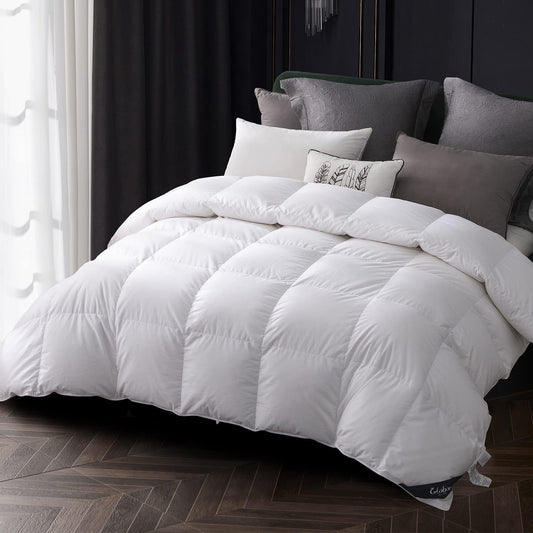 Globon Goose Down Comforter Queen Size All Season Down Duvet Insert,400 Thread Count Ultra Soft Noiseless Shell,800 Fill Power with Corner Tabs,White