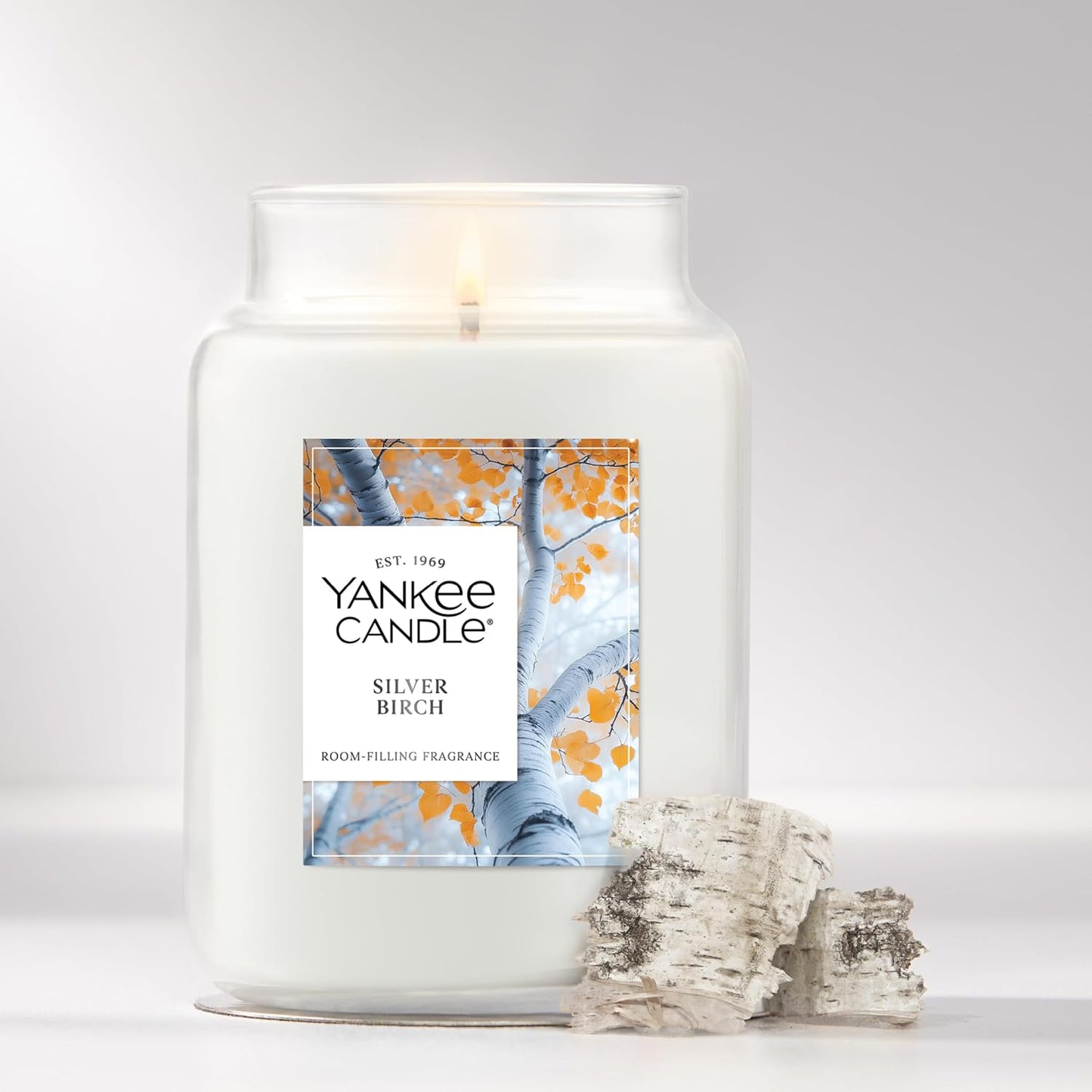 Yankee Candle, Silver Birch Fall Scented Candle, 22oz Large Jar with up to 150 Hour Burn Time