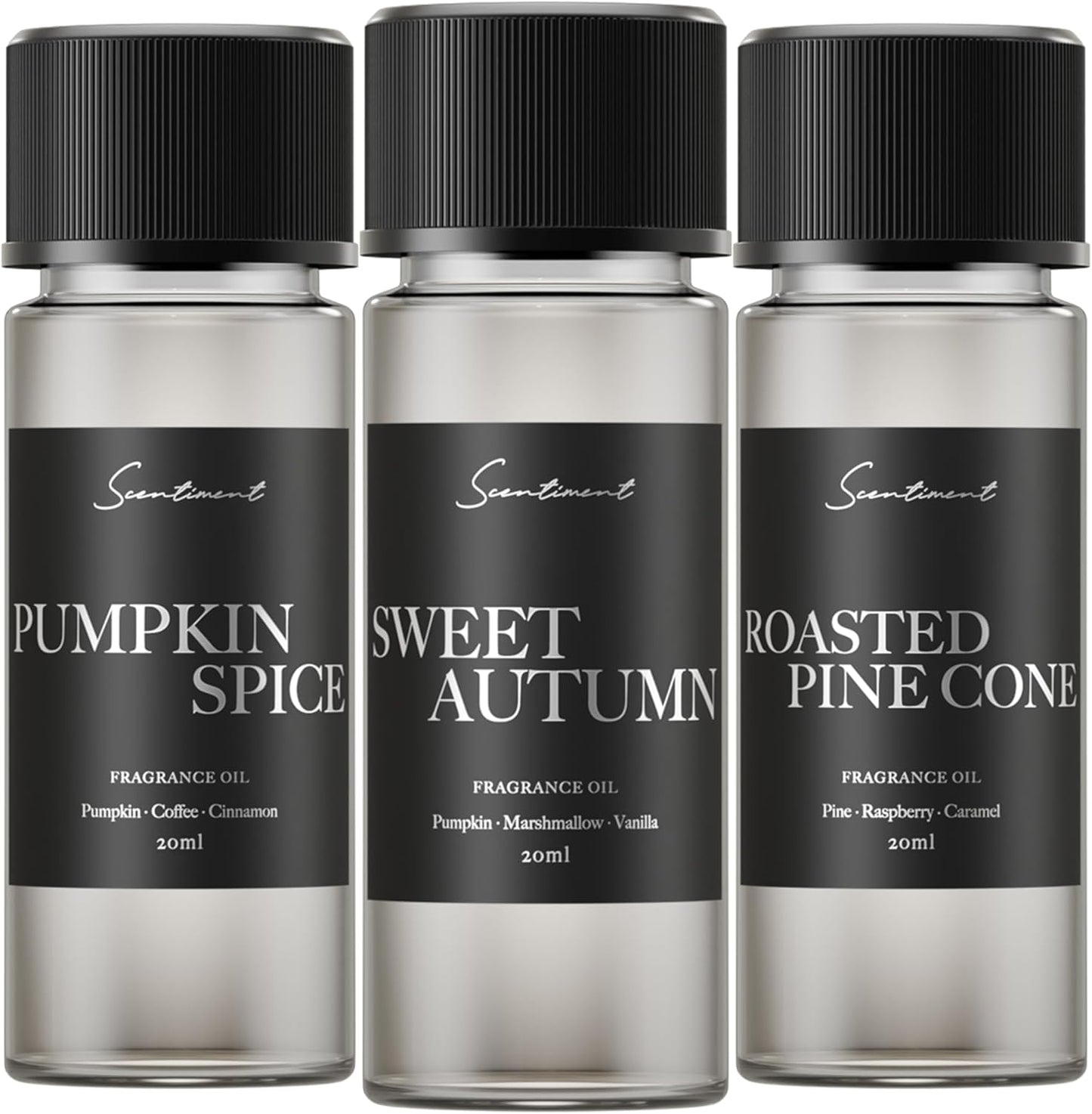 Scentiment Fall Diffuser Oil Discovery Kits - Top 3 Fall Scents | Aromatherapy Home Fragrance | Luxurious Scent with Notes of Sweet Autumn, Pumpkin Spice, Roasted Pine Cone, 20ml