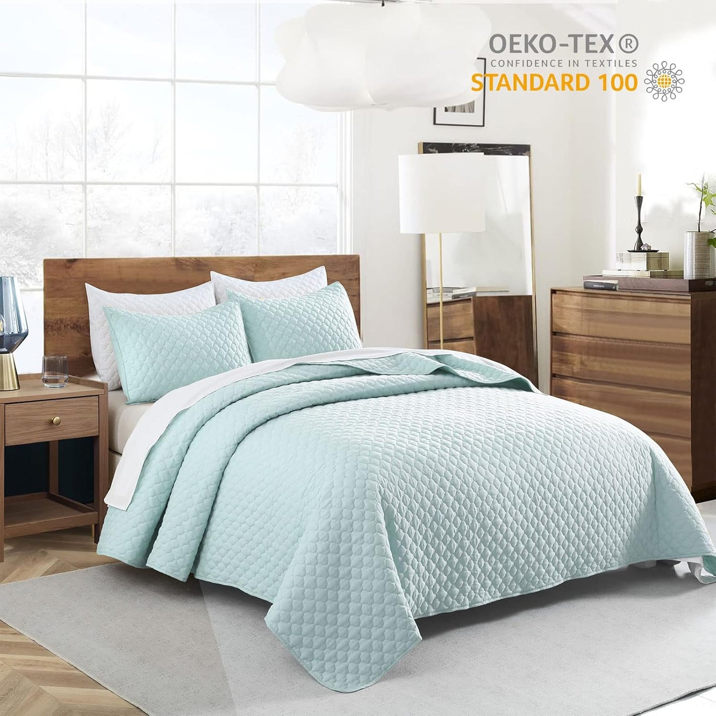HORIMOTE HOME Quilt Queen Size Aqua Blue, Lightweight Quilt for Summer Ultra-Soft Microfiber Modern Style Quilted Clouds Pattern Bedspread Quit Set 3 Pieces
