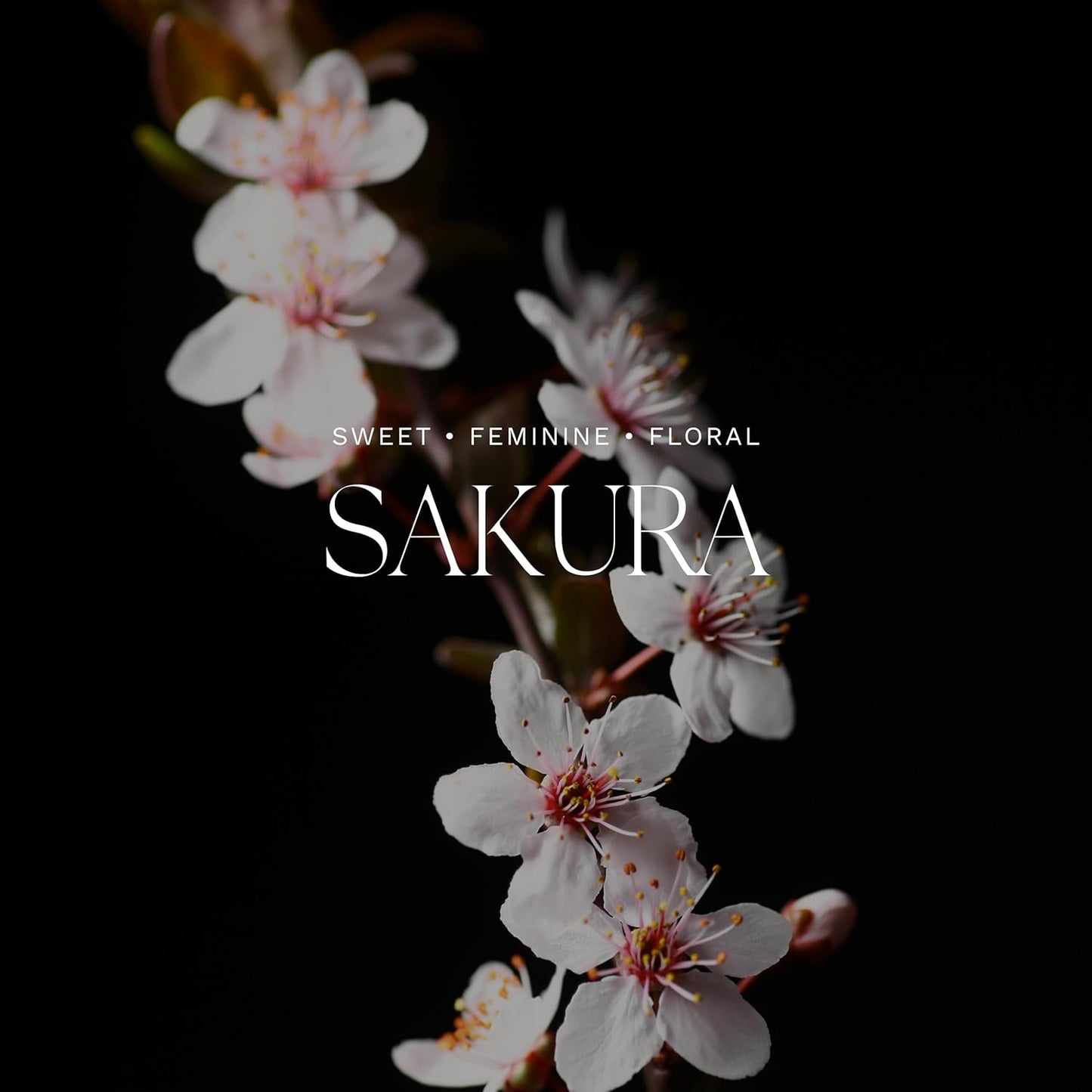 Antica Farmacista Home Ambiance Diffuser - Long-Lasting Reed Scent Diffuser - Luxury Room Freshener Gift - Sakura, 8.45 fl oz