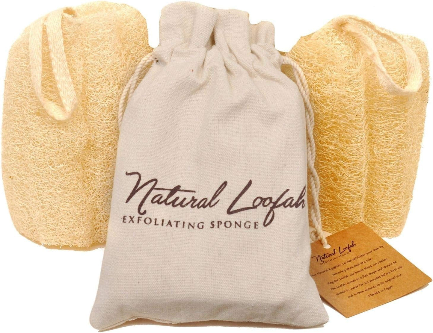 CraftsOfEgypt Natural Loofah Sponge – Egyptian Luffa Body Scrubber Pack of 2 for Men & Women, Natural Bath & Shower Loofah Exfoliator, All Natural Loofah Sponges for Face Back & Body, 6" x 6"