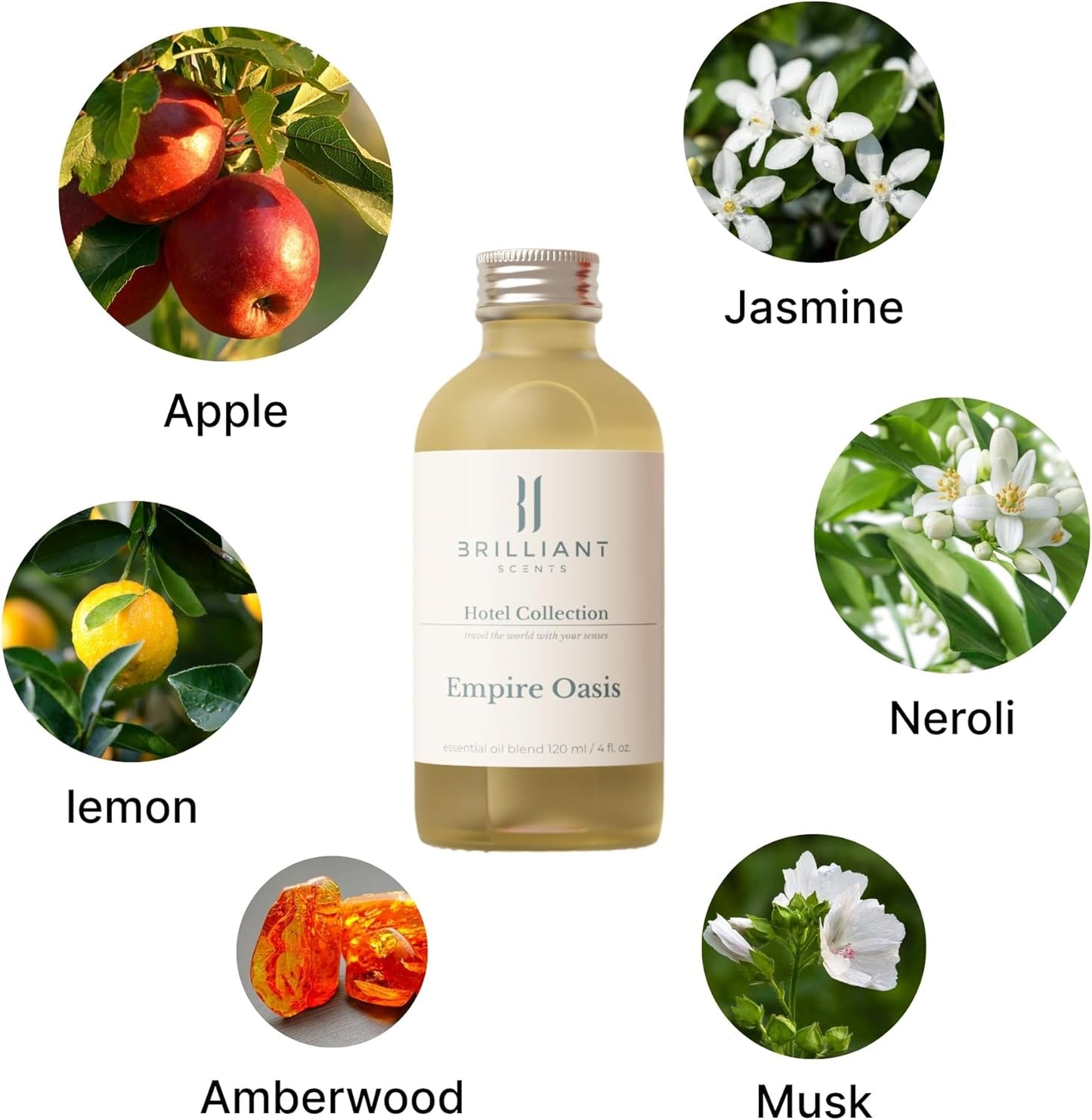 Brilliant Scents Diffuser Oil Refill, Inspired by Caesars Palace, Hotel Series Aroma Scents, Essential Oils Set for Home, Fragrance Oil for Candle Making, Home, 50 ML, Empire Oasis