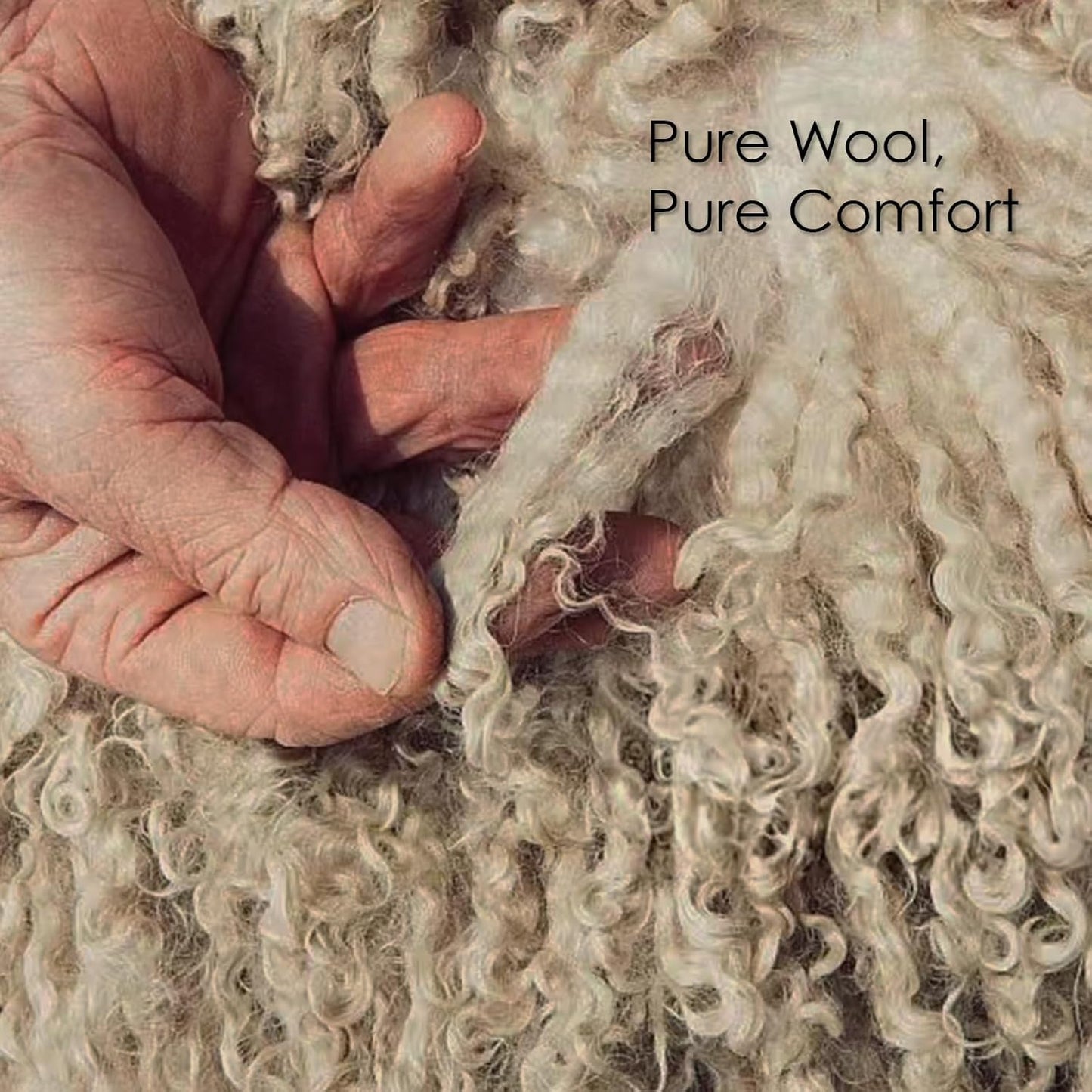 EP Mode Warm Weight Wool Comforter for Winter, Purely Natural Duvet Insert, 100% Australian Wool Filling (400GSM, Size King)