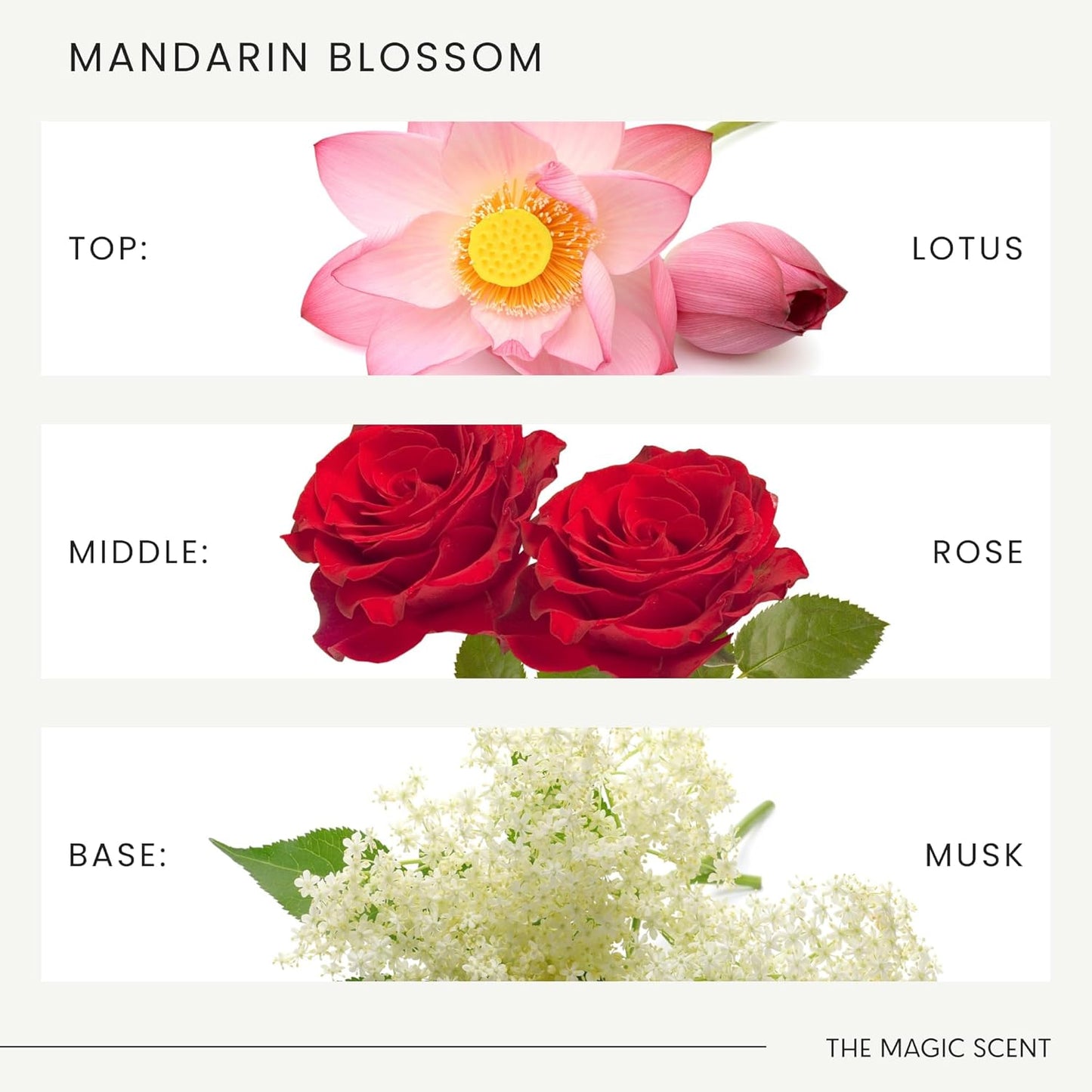 The Magic Scent Mandarin Blossom Diffuser Oil - Hotel & Home Luxury Scents Inspired by St. Regis Hotel, Maldives - Diffuser Oil Scents for Home Designed for Use in All Diffusers - 16.9 fl oz, 500 mL