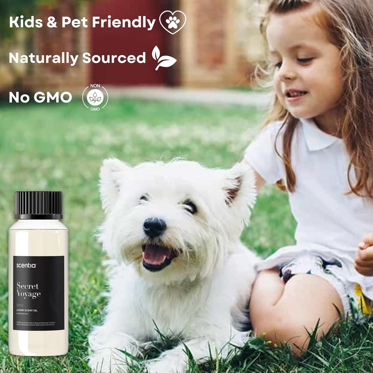 Scentia Hotel Diffuser Oil Inspired by The Baccarat Hotel - 120 mL 4.06 fl oz -HVAC,Cold Air & Ultrasonic Diffuser Oil,Fragrance Oil Blend- Secret Voyage, Thanksgiving Gift