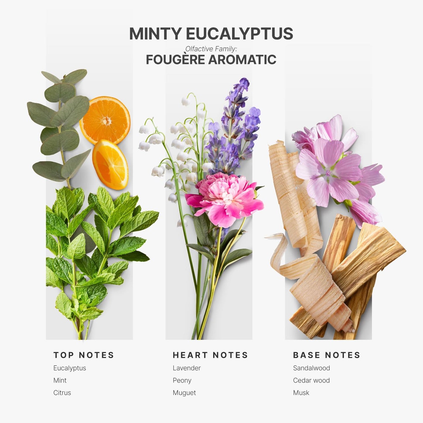 AromaPlan Hotel Scents Minty Eucalyptus 5 Fl Oz (2 Pack), Luxury Aroma & Hotel Fragrance Diffuser Oil- Hotel Diffuser Oil for Aromatherapy- USA Made, Bigger Bottle, Bolder Aroma & Longer Lasting