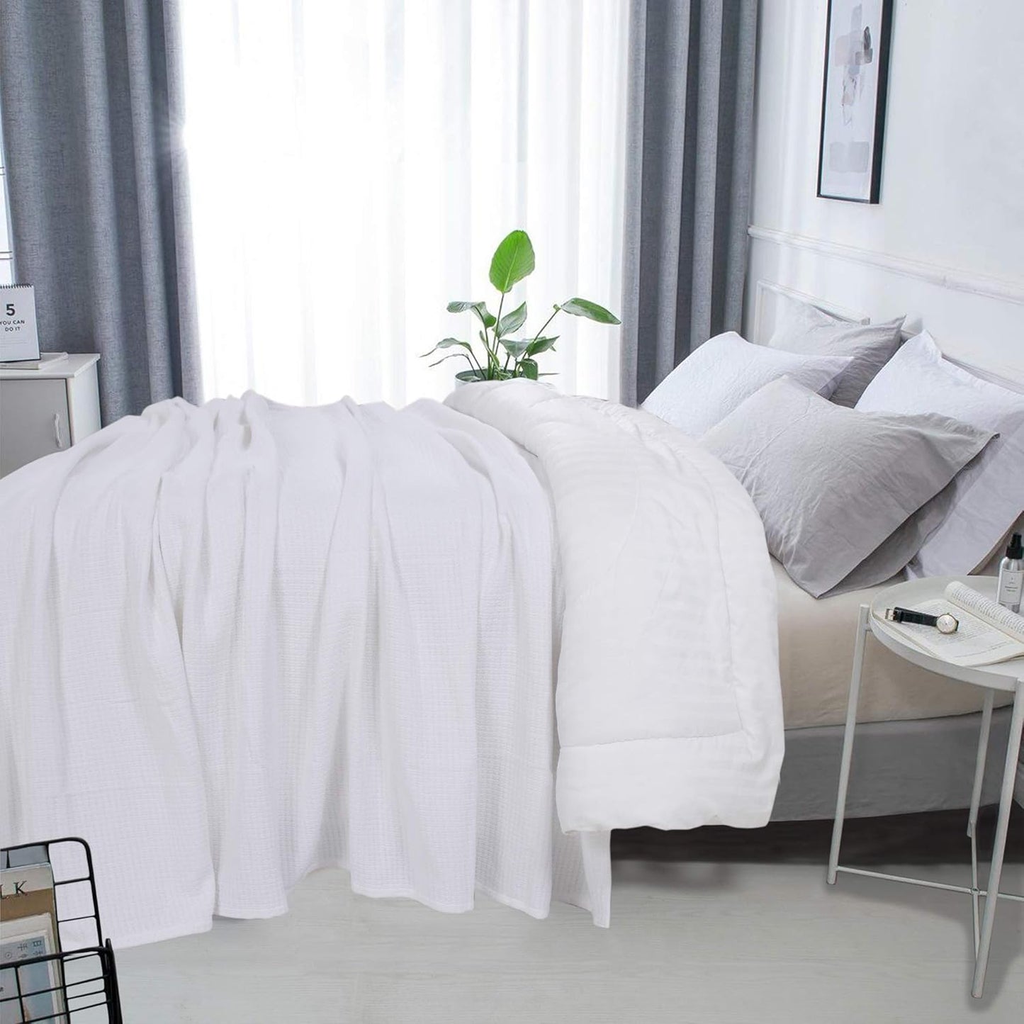 DOLLCENT 100% Cotton Twin Size Blanket for Bed, Premium Soft Combed Lightweight Blankets, Washed Breathable Cozy Bed Throw Blanket, White Twin Cotton Blankets for All Season: White (66"x90")