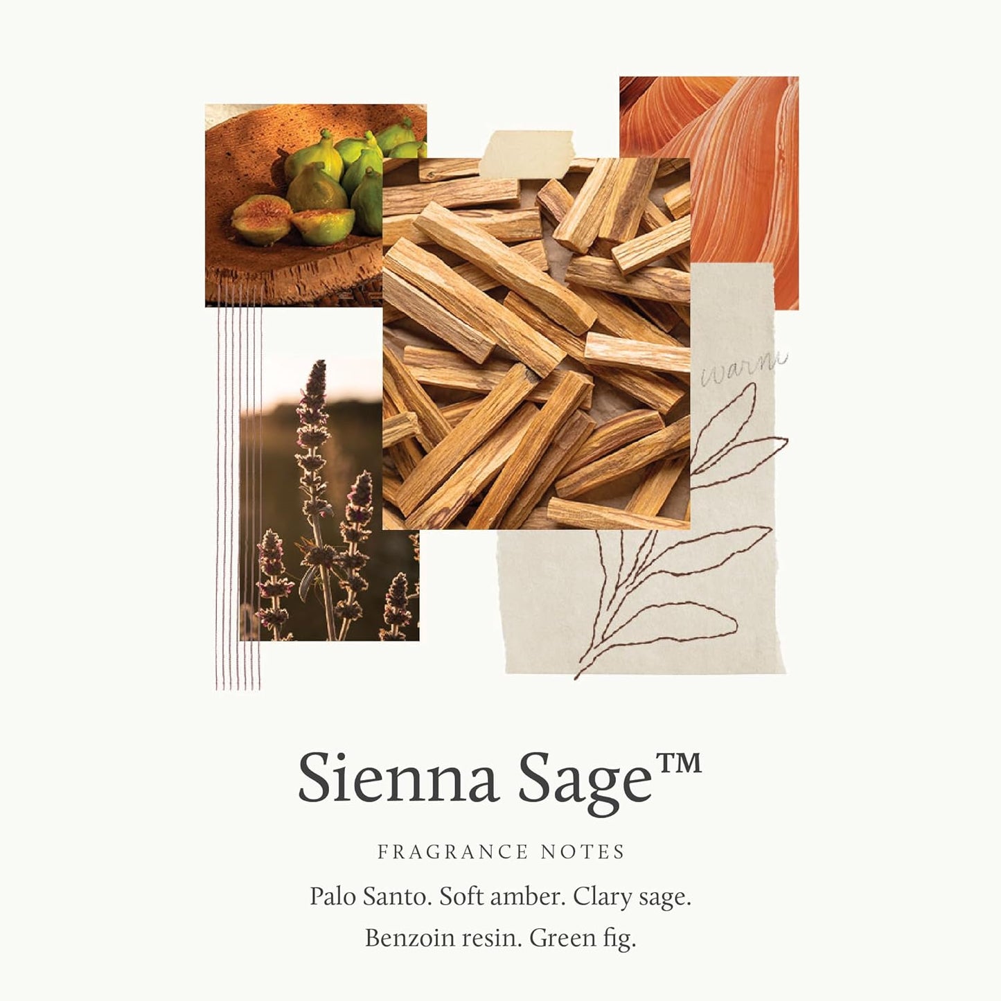 Thymes Sienna Sage Hand Cream - Hand and Body Cream (3.0 fl oz)