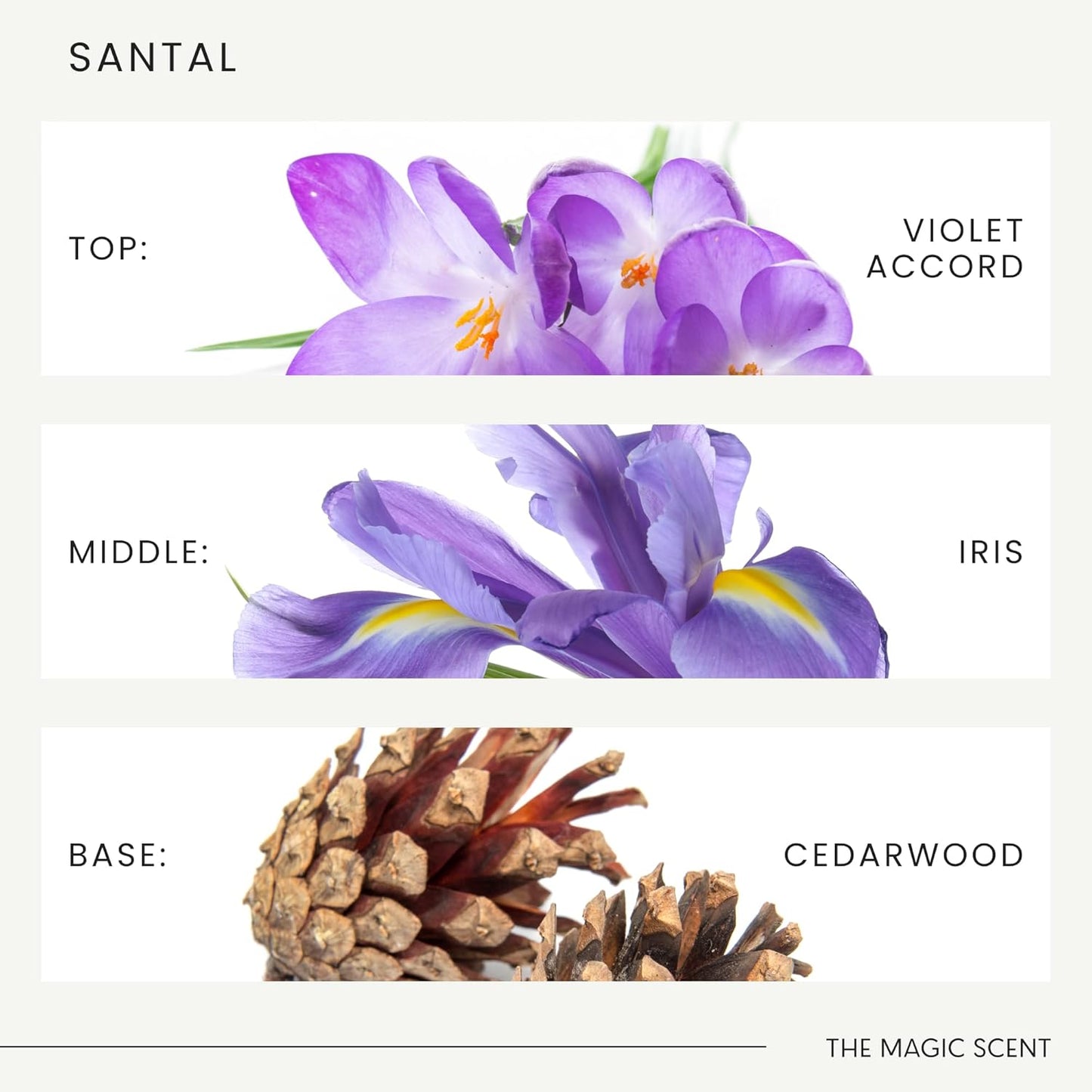 The Magic Scent Santal Diffuser Oil - Fragrance Scent - Cold-Air & Ultrasonic - Santal Essential Oil - Diffuser Oils Scents for Home - Sandalwood Oil - 0.3 fl oz, 10 mL