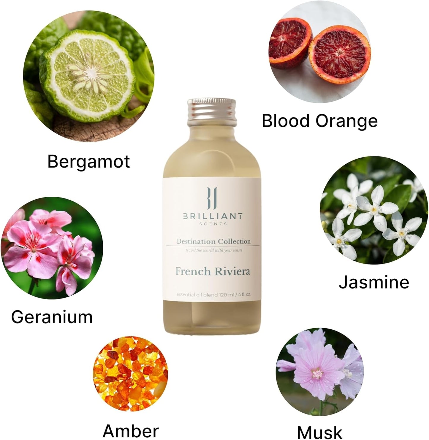 Brilliant Scents French Riviera Fragrance Oil 500ml - Premium Diffuser Oil for Home, Office, Hotels - Long Lasting, Plant-Based, Meets IFRA Standards, USA-Made - Blood Orange, Jasmine, Tonka Bean