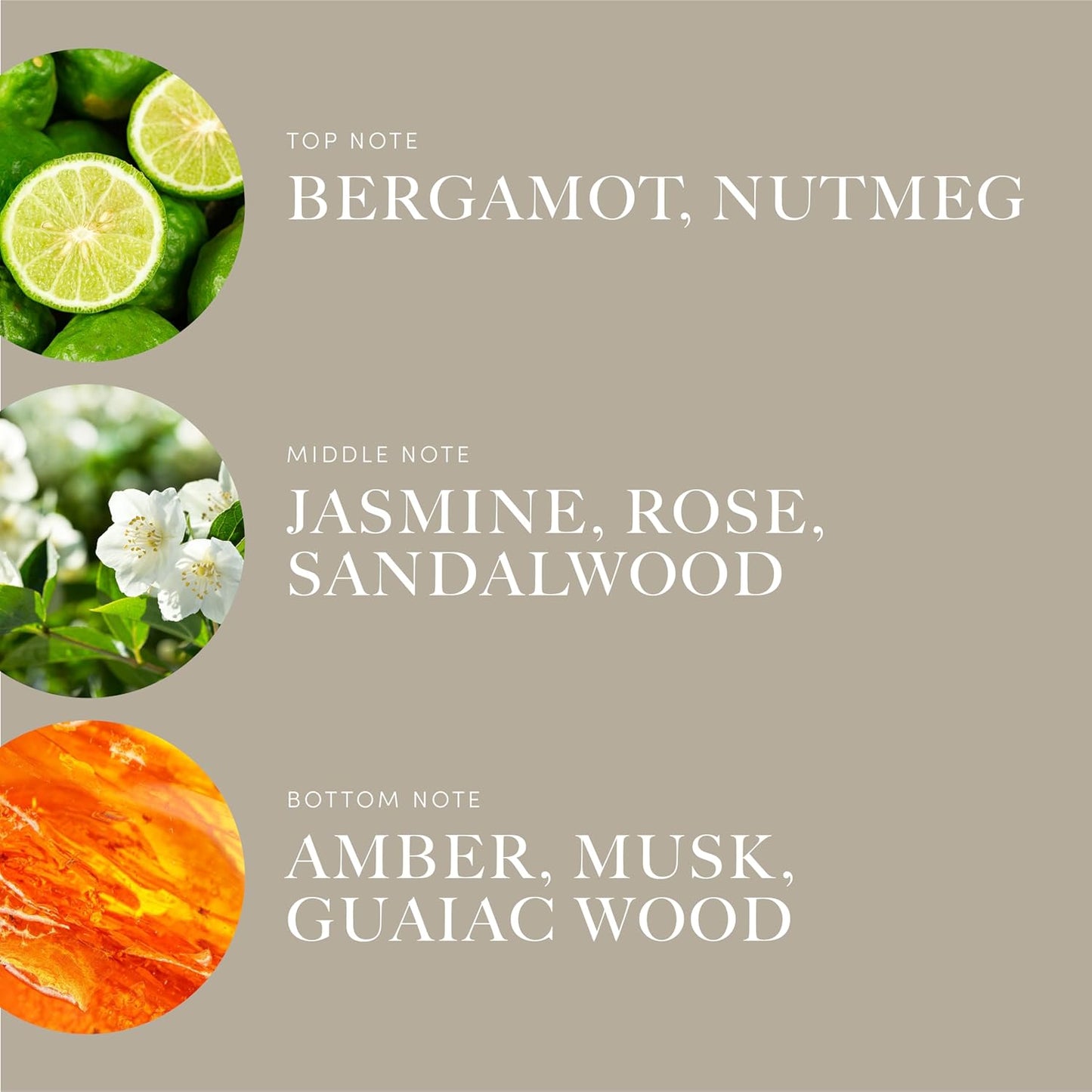 Aroma360 | Disney | Sassy Petals Fragrance Oil Blend | Daisy Duck | Luxury Aromatherapy Scent Diffuser Oil | Bergamot, Rose and Amber 1.7 fl oz, 50 mL