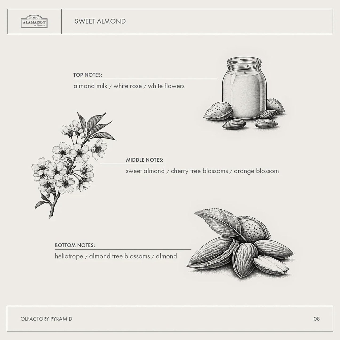 A LA MAISON French Hydrating Liquid Body Wash, Sweet Almond - Natural Body Wash Made with Essential Oils - Biodegradable, Plant-Based, Vegan, Cruelty-Free, Alcohol & Paraben Free (25.36 oz, 1 Pack)