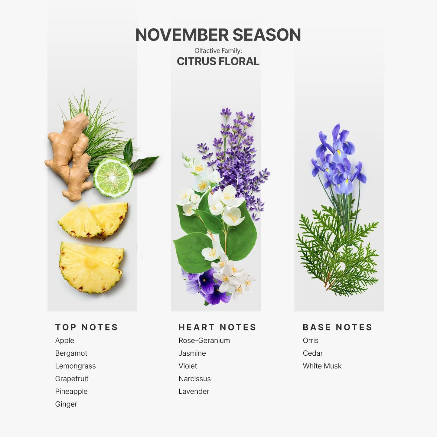 AromaPlan Hotel Scents November Season 5 Fl Oz (148ml), Home Luxury Aroma & Hotel Fragrance Diffuser Oil- Hotel Diffuser Oil for Aromatherapy- USA Made, Bigger Bottle, Bolder Aroma & Longer Lasting