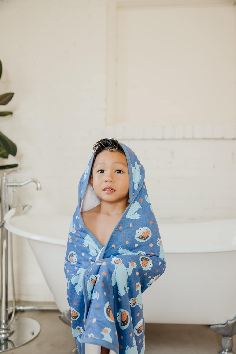 Copper Pearl Hooded Bath Towels Premium Knit/Terry Cloth Baby Towels with Hood, Pockets, and Cool Designs - Great to Gift and Make Bath Time Fun - Baby Bath Towel, Cookie Monster