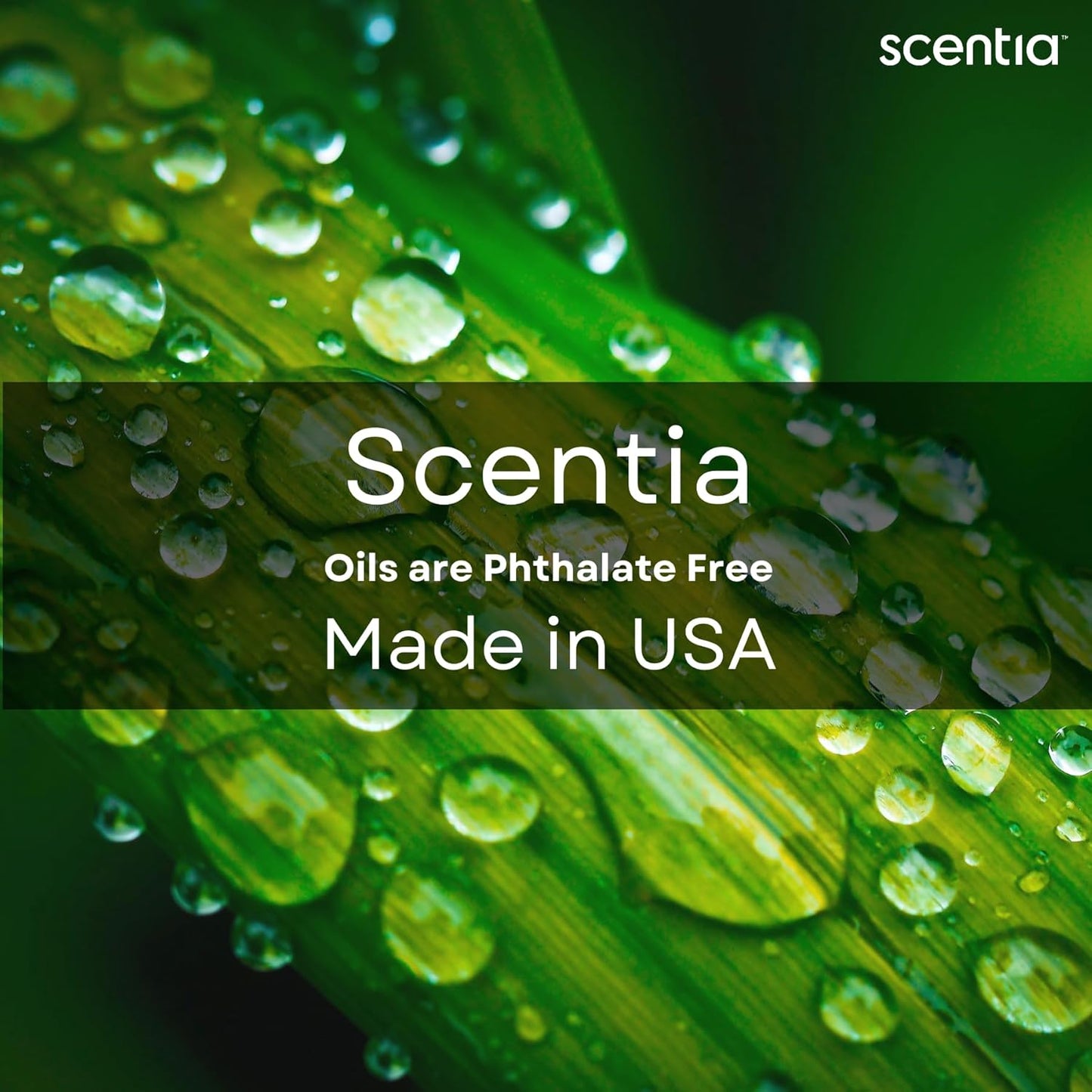 Scentia Oud Royal Fragrance Oil Inspired by TF's Oud Wood Perfume, Refill Diffuser Oil, Perfume Dupe, Aromatherapy Essential Oil Fragrance Set for Cold Diffusers, Candle Making | 500ml, 16.9Fl Oz