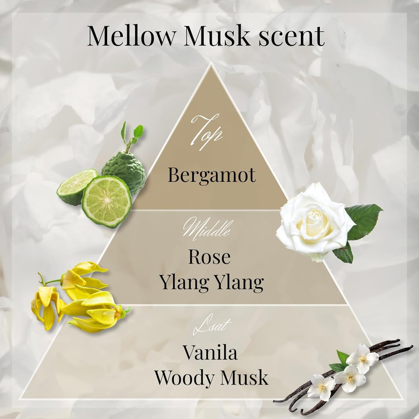 Luxury Japanese Incense Sticks 60sticks Mellow Musk White Musk Bergamot Vanila Coreless Low Smoke Natural Charcoal Free Non Toxic Aromatherapy Meditation Calming Stress Relief Relaxation Yoga TOMORI