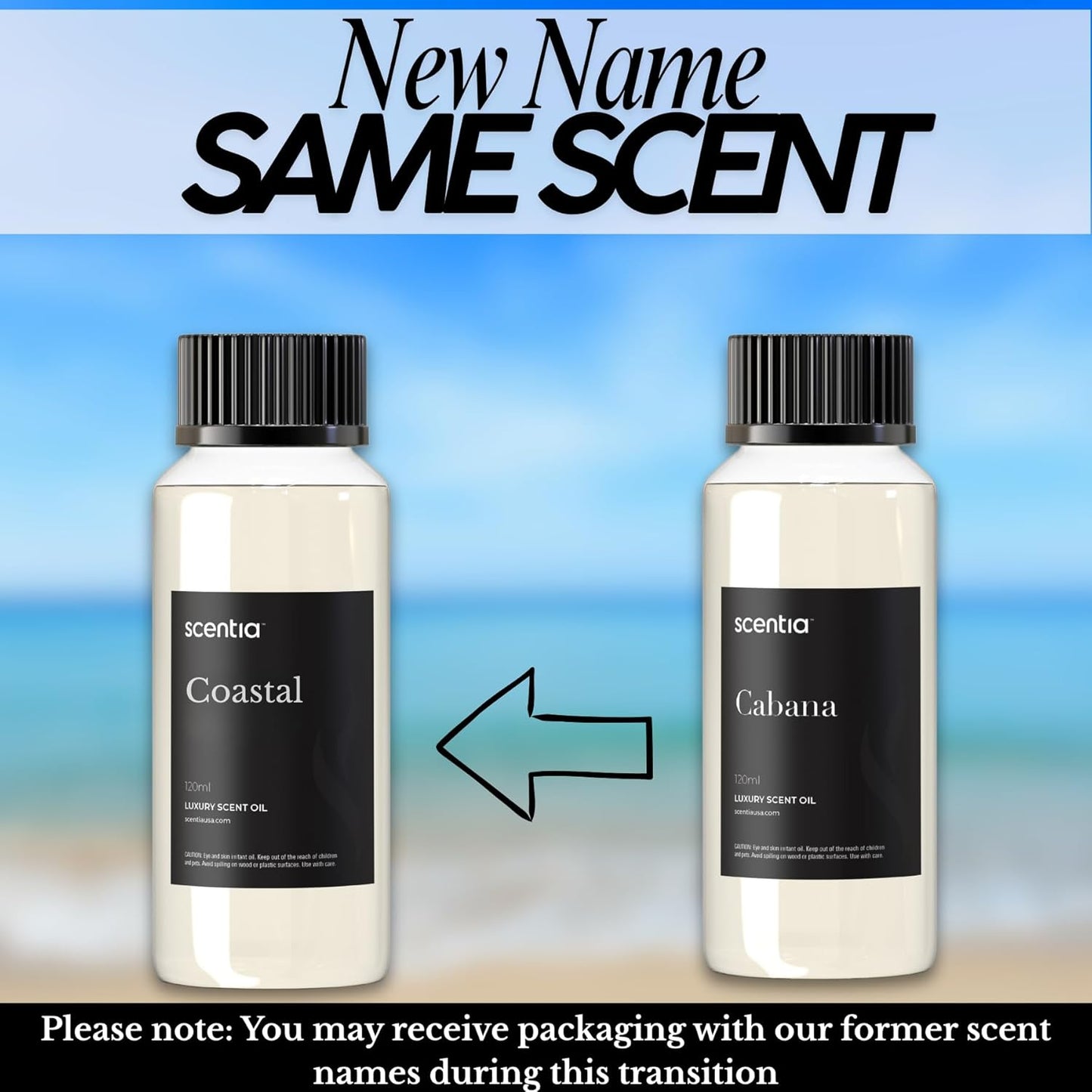 Scentia Hotel Diffuser Oil Inspired by 5-Star Hotel Scent - 120 mL 4.06 fl oz - Essential Oil Blend Botanical Jasmine, Bergamot & Fresh Notes for Aromatherapy Diffusers - Cabana, Thanksgiving Gift