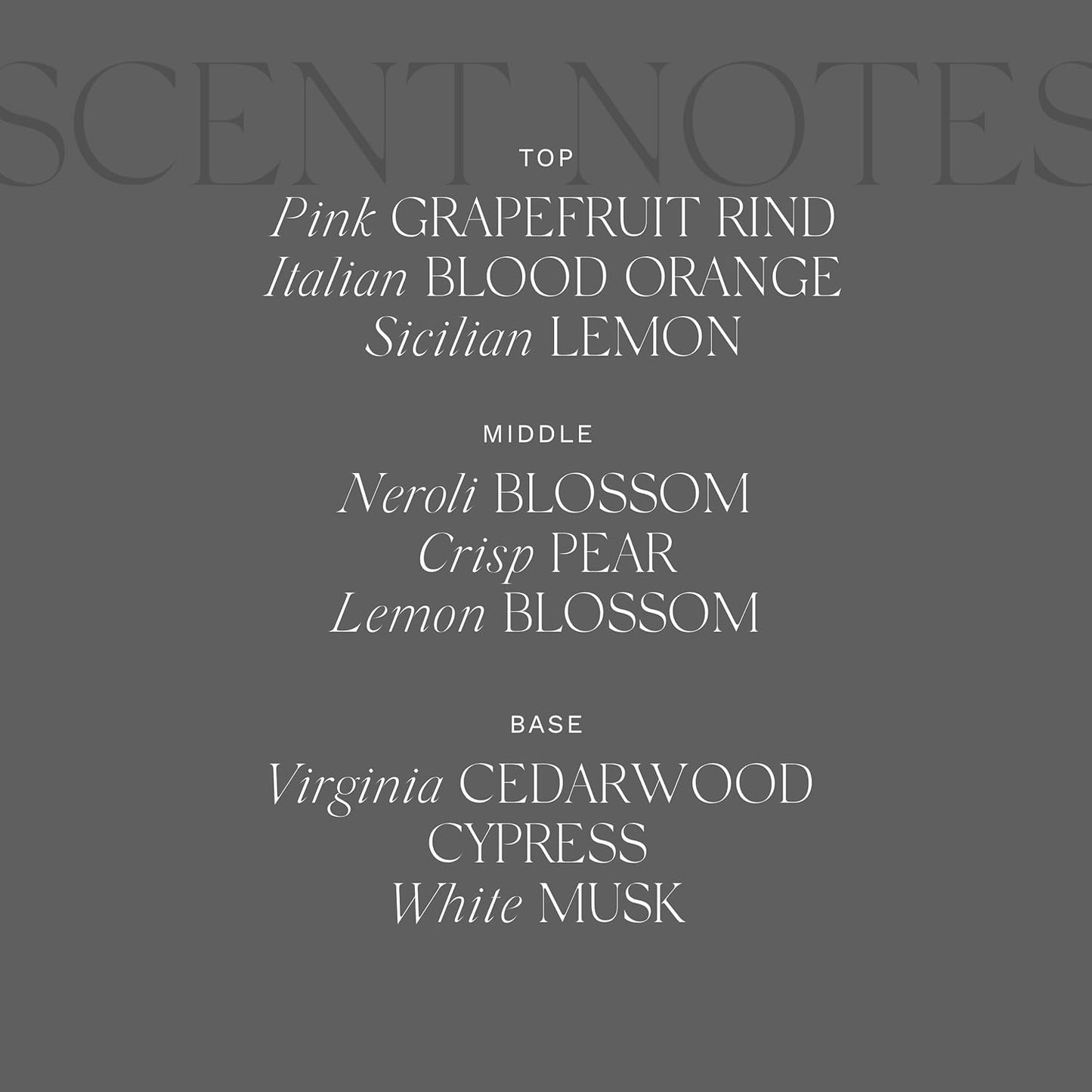 Antica Farmacista Luxury Scent Candle - Decorative Home Candle - Long-Lasting & Premium Scented - Luxury Gift - Grapefruit, 9 oz