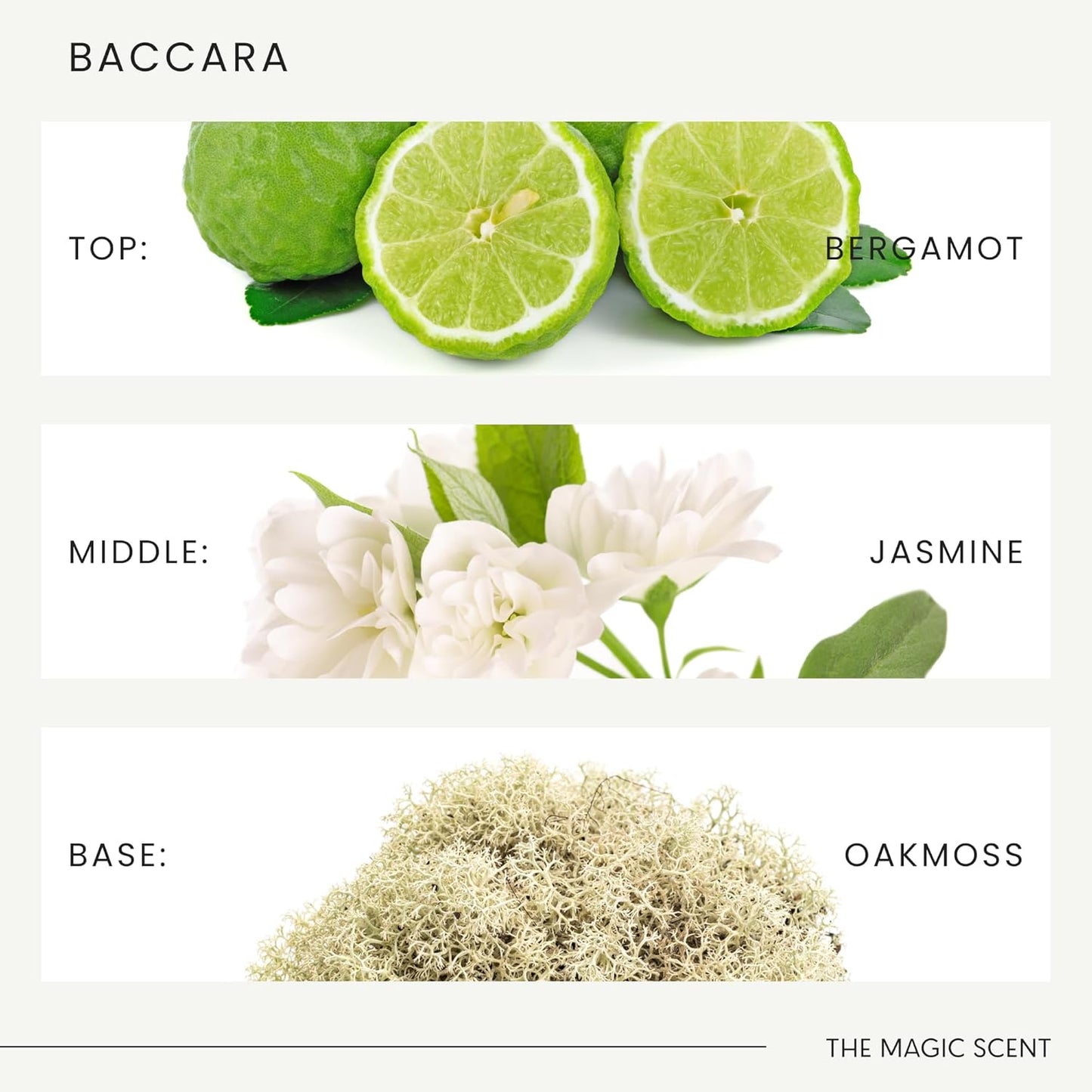 The Magic Scent Baccara Diffuser Oil - Hotel & Home Luxury Scents Inspired by Baccarat Rouge - Diffuser Oil Scents for Home Designed for Use in All Diffusers - 8.5 fl oz, 250 mL