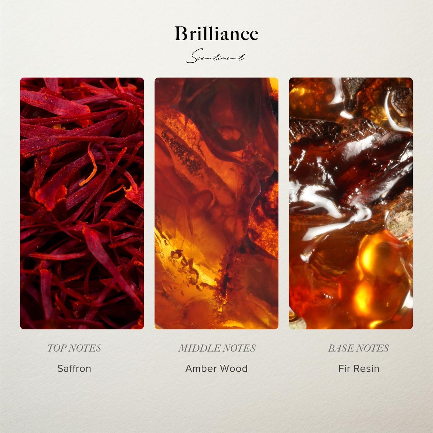 Scentiment Designer Diffuser Oil Discovery Kit – Top 3 Luxury-Inspired Scents | Aromatherapy Fragrance Oils for Home & Office | Long-Lasting & Elegant Scent (3 x 20ml)