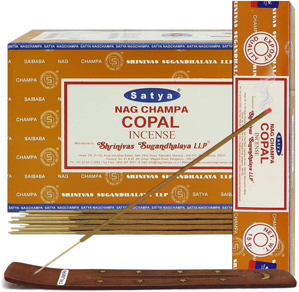 Copal Incense Sticks and Incense Stick Holder Bundle Insence Insense Satya