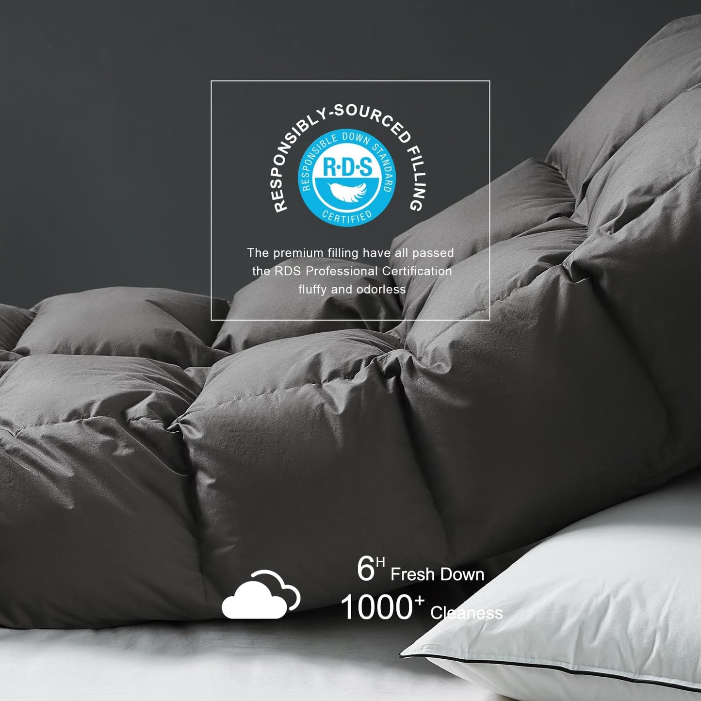 Royoliving Premium Feathers Down Duvet Insert Comforter Twin Size Charcoal Grey Heavyweight Thickened Winter 100% Cotton Cover with Corner Tabs (68x90, 45 oz)