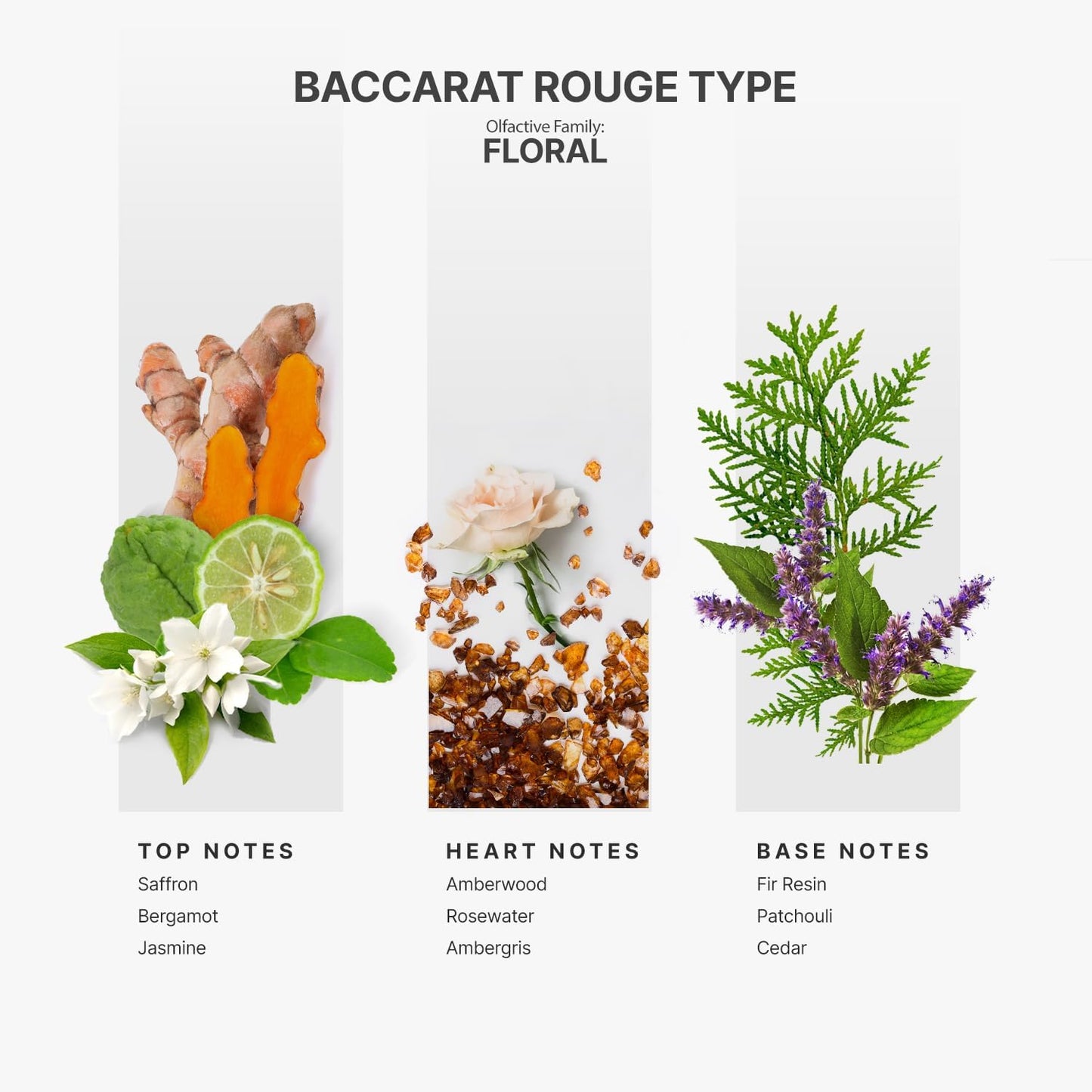 AromaPlan Hotel Scents Inspired by Baccarat Rouge 16 Fl Oz (473ml), Home Luxury Aroma & Hotel Diffuser Oil for Aromatherapy- USA Made, Bigger Bottle, Bolder Aroma & Longer Lasting