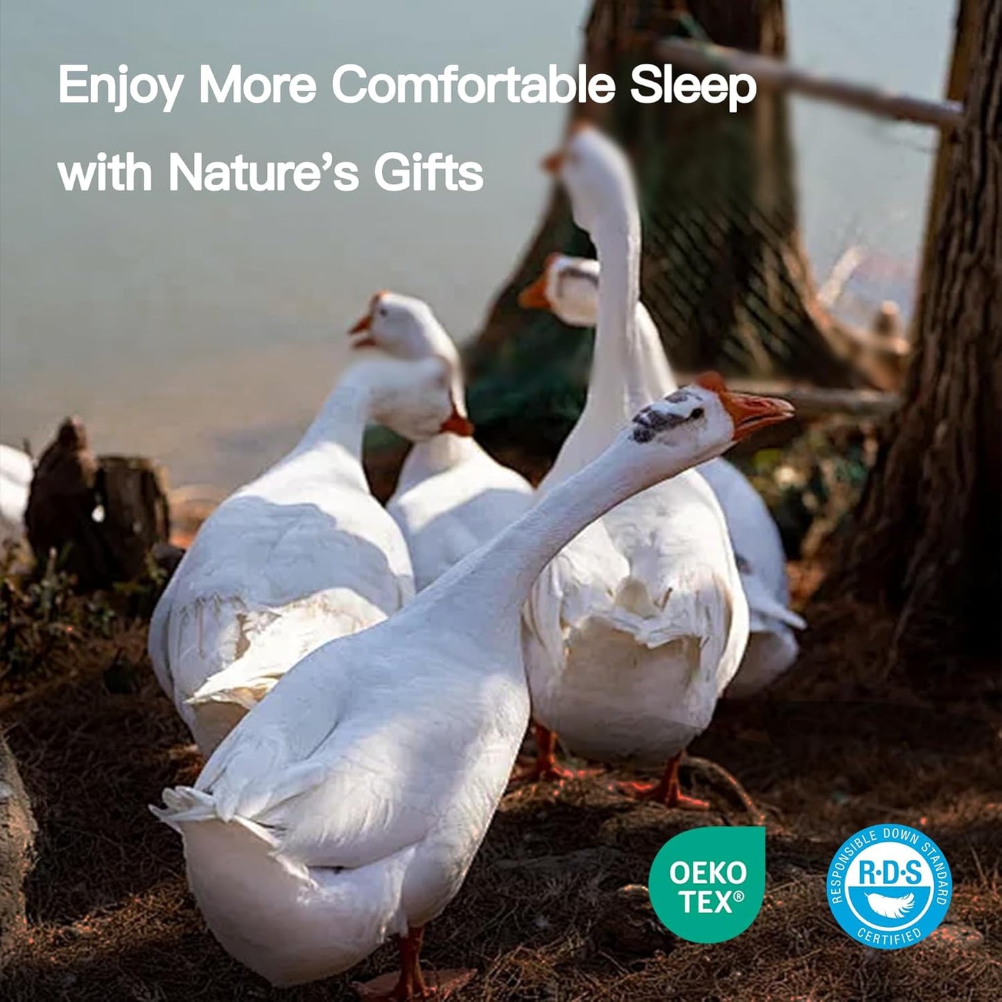 Goose Down Fiber Comforter Queen Size, 100% Cotton Luxurious Hotel Duvet Insert for All Season, Fluffy and Cozy with 8 Corner Tabs Medium Warmth 90 x 90 Inch White