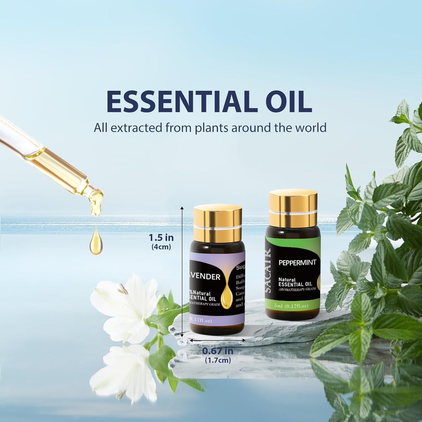 Essential Oils by SACATR Natural Essential Oil Set -12 Essential Oils Gift Set for Diffuser, Massage, Fragrance Oil Scent for DIY Candle and Soap Making (12 * 5ML)