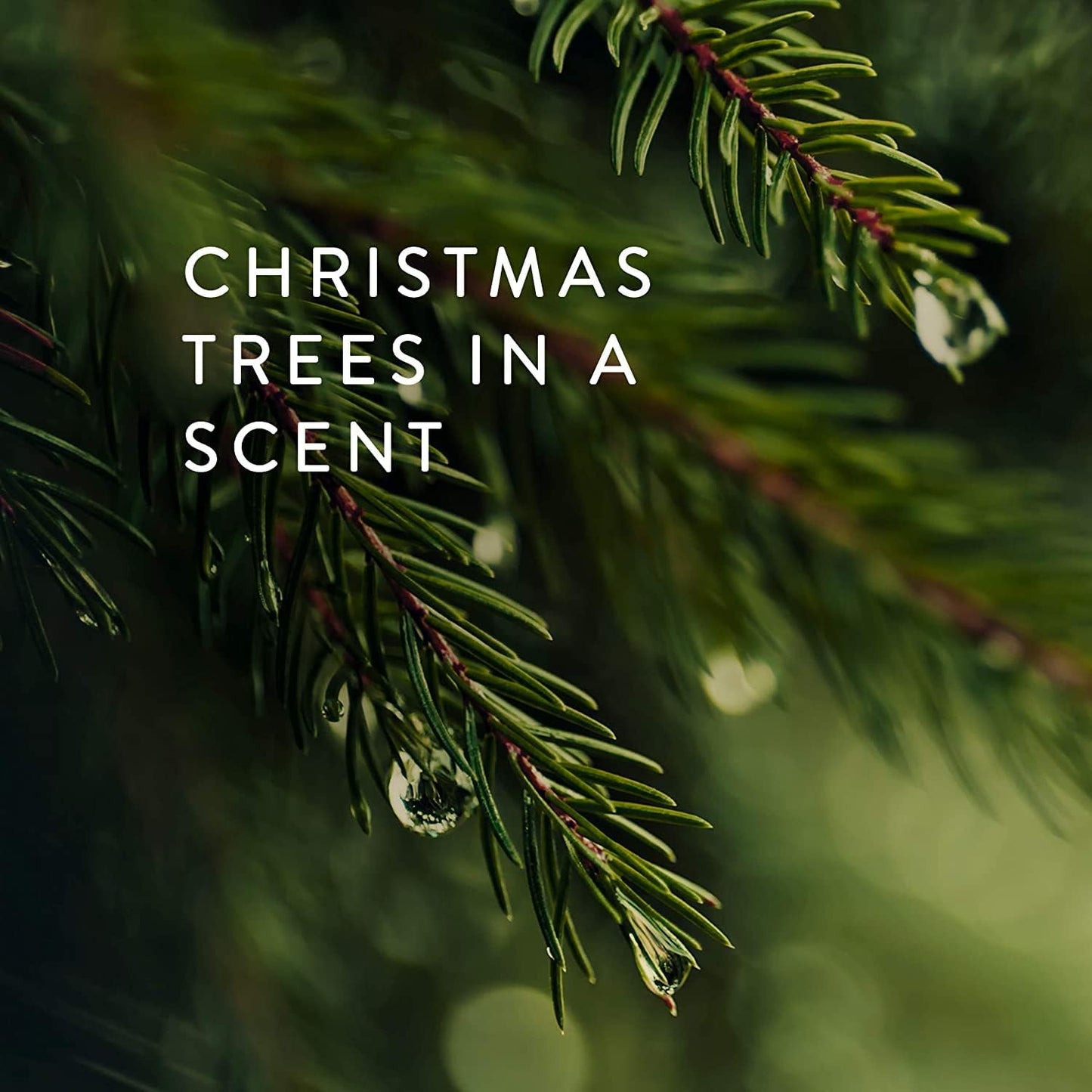 Thymes Frasier Fir Scented Candles for Home Decor – Green Heritage Holiday Candle – Notes of Siberian Fir Needles, Cedarwood & Sandalwood – Luxury Home Fragrance Gifts for Women & Men (4-Wick, 21 oz)