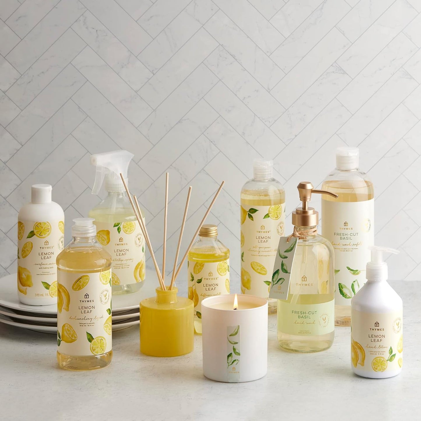 Thymes Scented Candles for Women & Men - Fresh Home Fragrance - Matte White Candles - Notes of Fresh Basil, Tomato Leaf, Sage, Black Currant, Blood Orange, & Petitgrain (Fresh-Cut Basil, 8 oz)