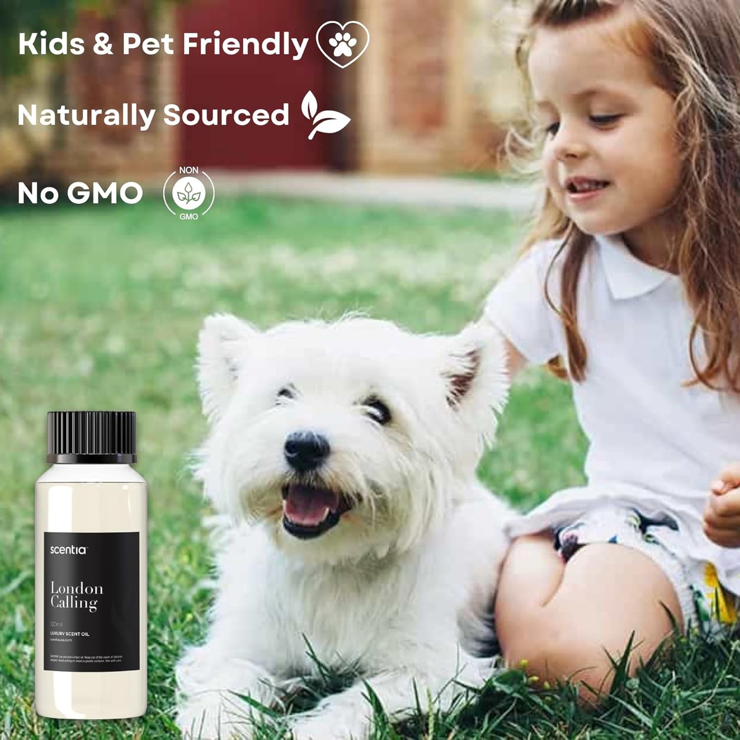 Scentia Hotel Diffuser Oil Inspired by Ferrari - 120 ml 4.06 fl oz - Fragrance Oil Blend White Tea, Cedarwood & Soku Lime for Aromatherapy Diffusers and Humidifiers - London Calling, Thanksgiving Gift