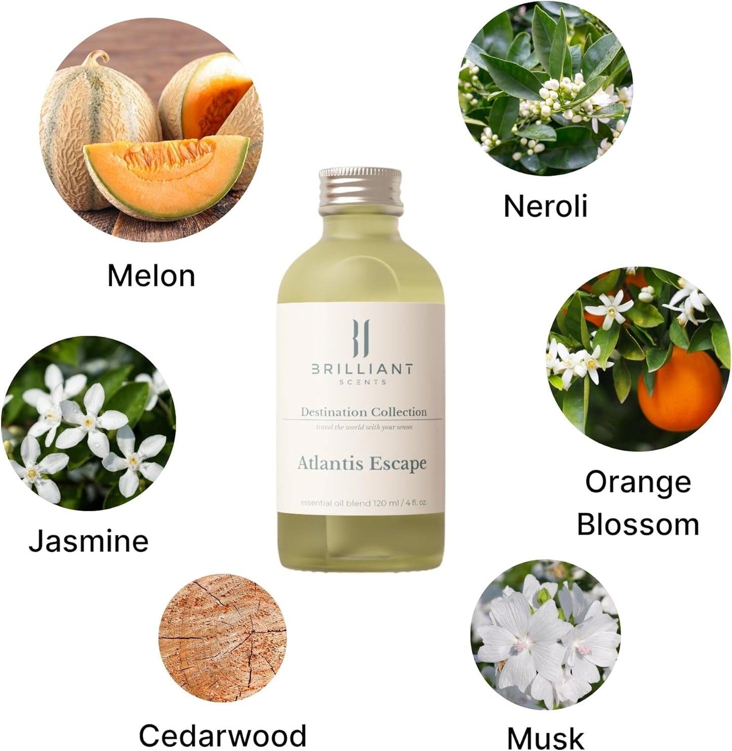 Brilliant Scents Atlantis Escape Fragrance Oil 120ml - Premium Diffuser Oil for Home, Office, Hotels - Long Lasting, Plant-Based, Meets IFRA Standards, USA-Made - Neroli, Orange Blossom, Vanilla
