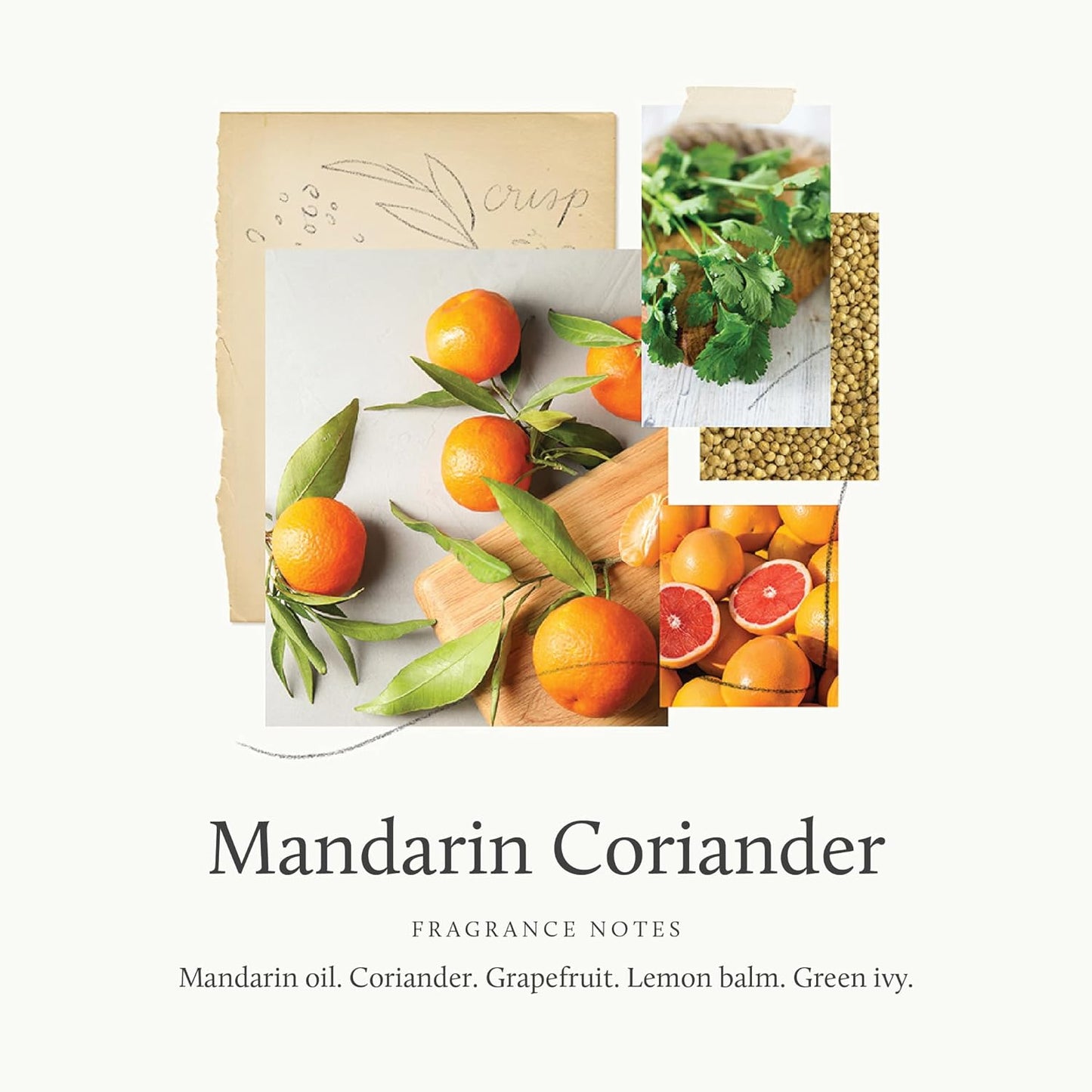 Thymes Candle - 8 Oz - Mandarin Coriander