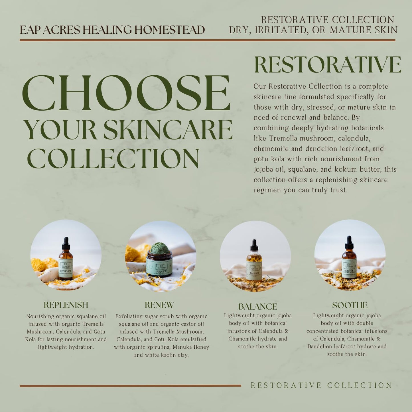 Emulsified Face Sugar Scrub, Organic squalane oil/Castor oil: Tremella Mushroom/Chamomile/Gotu Kola/Calendula/White Kaolin Clay, Manuka Honey-Gentle exfoliant-Dry/Sensitive/Mature skin (RENEW)