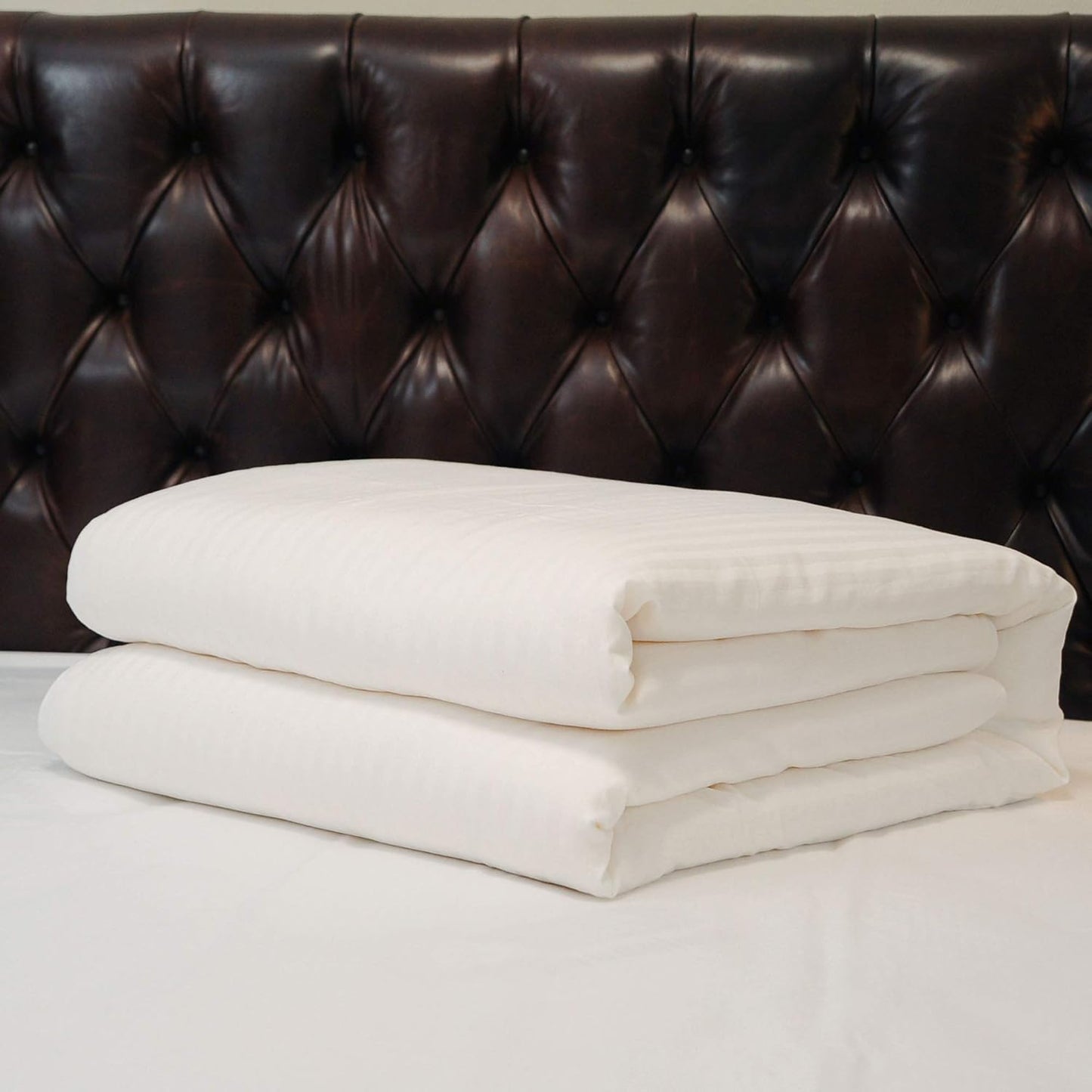 CUDDLE DREAMS Silk Comforter for Winter, 100% Long-Strand Silk Filling, Natural & Breathable (Twin Size)