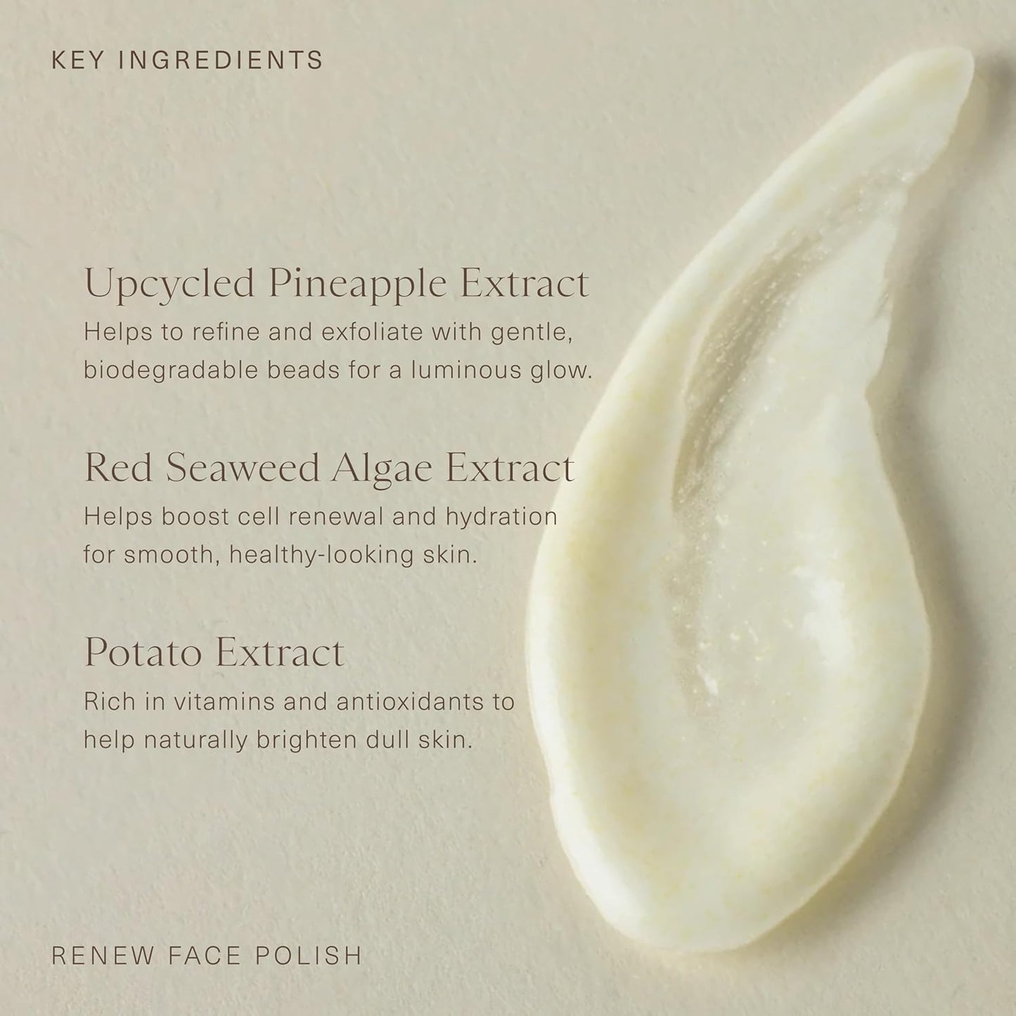 Oak Essentials Renew Face Polish | Gentle Exfoliating Face Scrub with Pineapple Extract, Vitamin C & Polishing Beads, 3.4 Oz