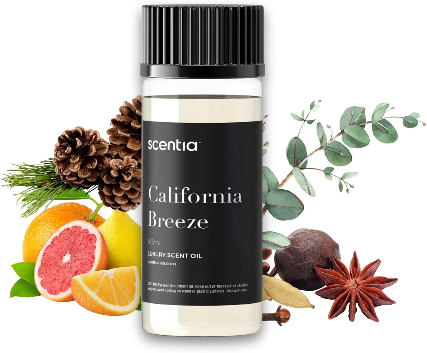 Scentia Hotel Diffuser Oil Inspired by The Delano Beach Club Hotel Scent - 50 mL 1.69 fl oz - Fragrance Oil Blend Orange, Green Tea for Aromatherapy Diffusers - California Breeze, Thanksgiving Gift