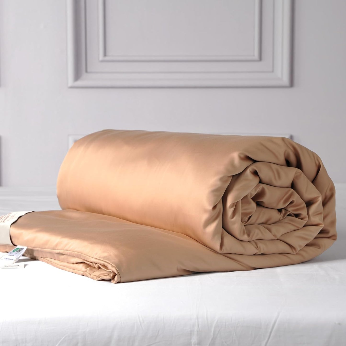 CUDDLE DREAMS Silk Filled Comforter for All Season, Detachable Tencel Duvet Cover for Easy Care, Naturally Breathable (Bronze, Twin)