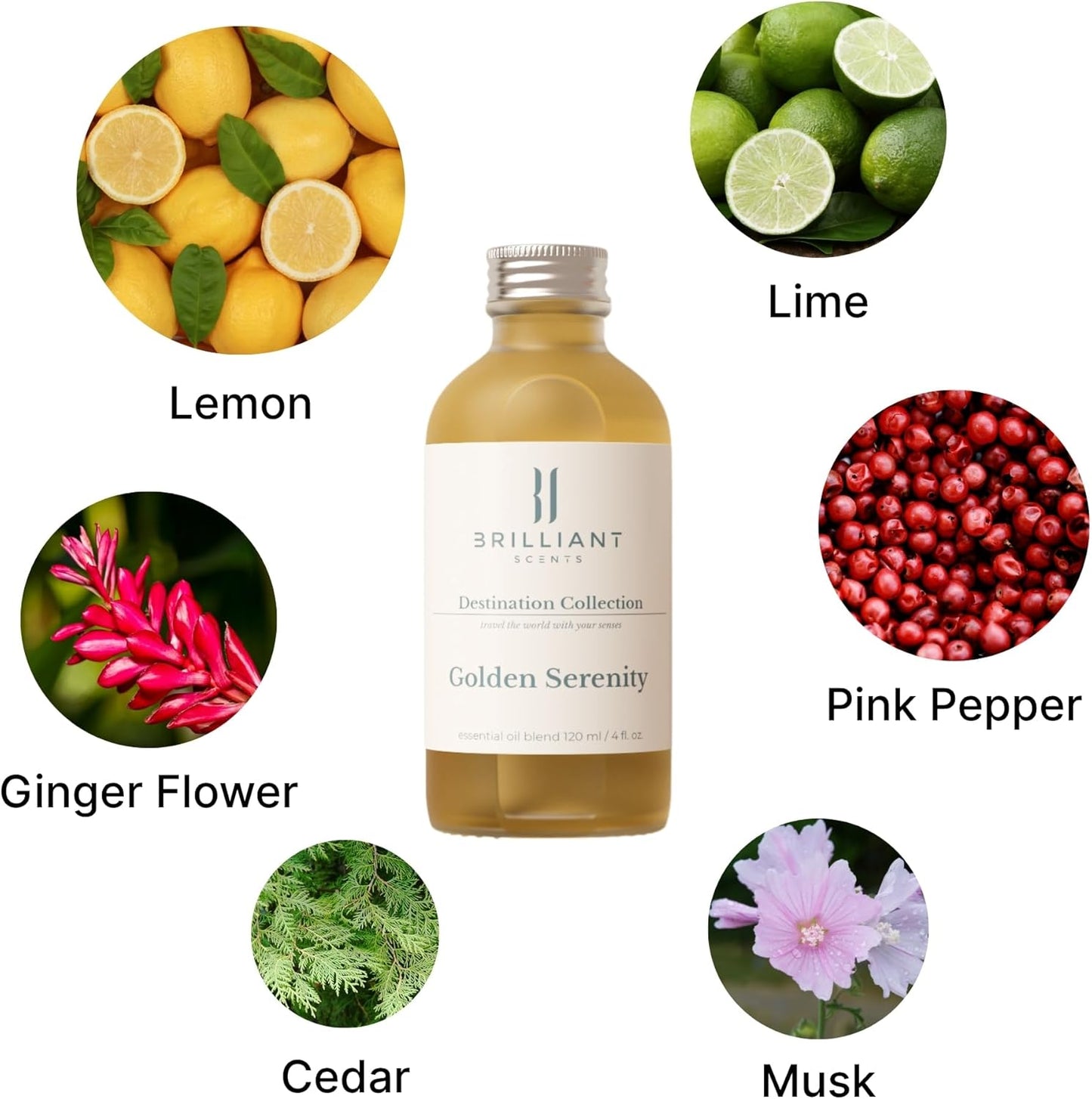 Brilliant Scents Golden Serenity Fragrance Oil 500ml - Premium Diffuser Oil for Home, Office, Hotels - Long Lasting, Plant-Based, Meets IFRA Standards, USA-Made - Mandarin, Tea Rose, Musk