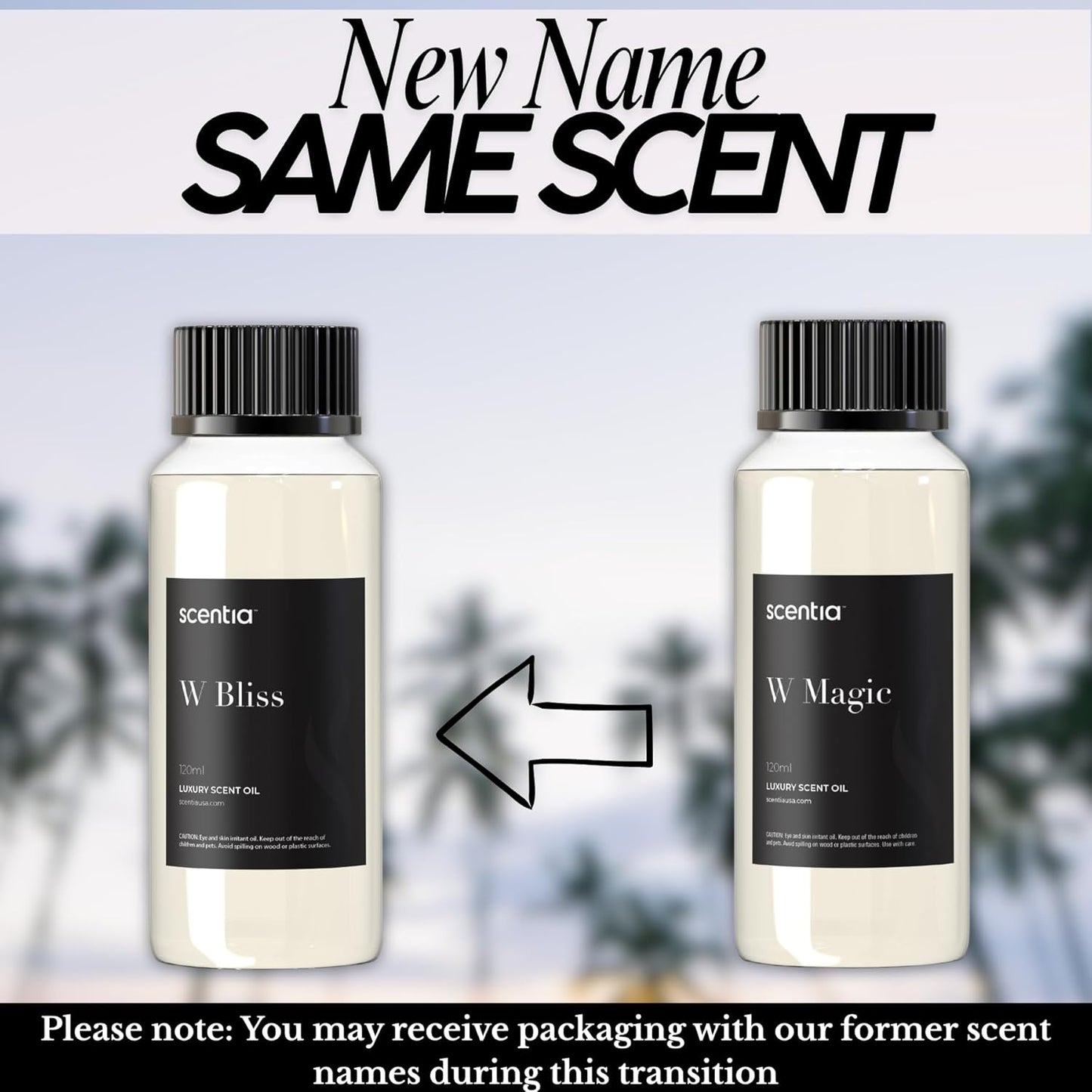 Scentia W Magic Hotel Diffuser Oil - 120 mL 4.06 fl oz - Aromatherapy Fragrance Inspired by 5-Star Hotels - Thanksgiving & Holiday Gift | Notes of Bergamot, Lemongrass, Jasmine