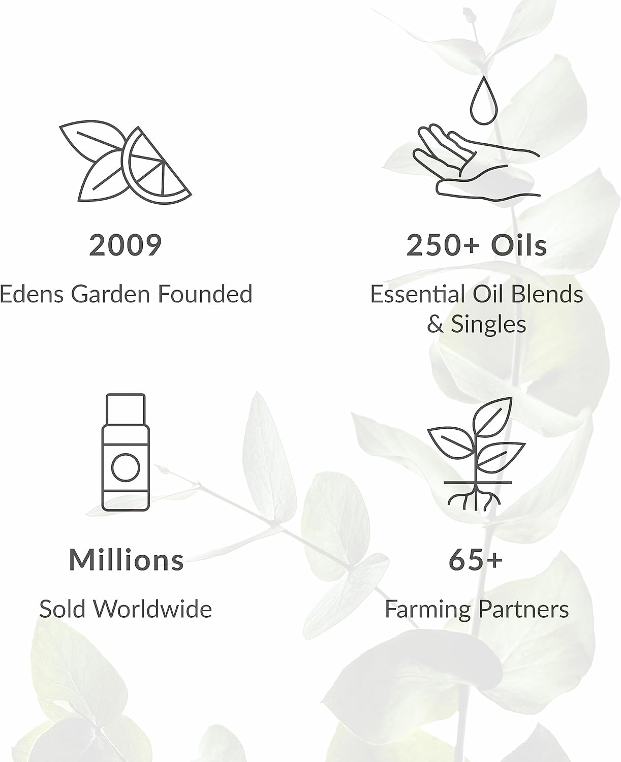 Edens Garden Rosemary- Spanish Essential Oil- 100% Pure Premium Grade, Undiluted, Natural, Therapeutic, Aromatherapy, The Best for Diffuser, Candle, Laundry, Humidifiers 30 ml (1 fl oz)