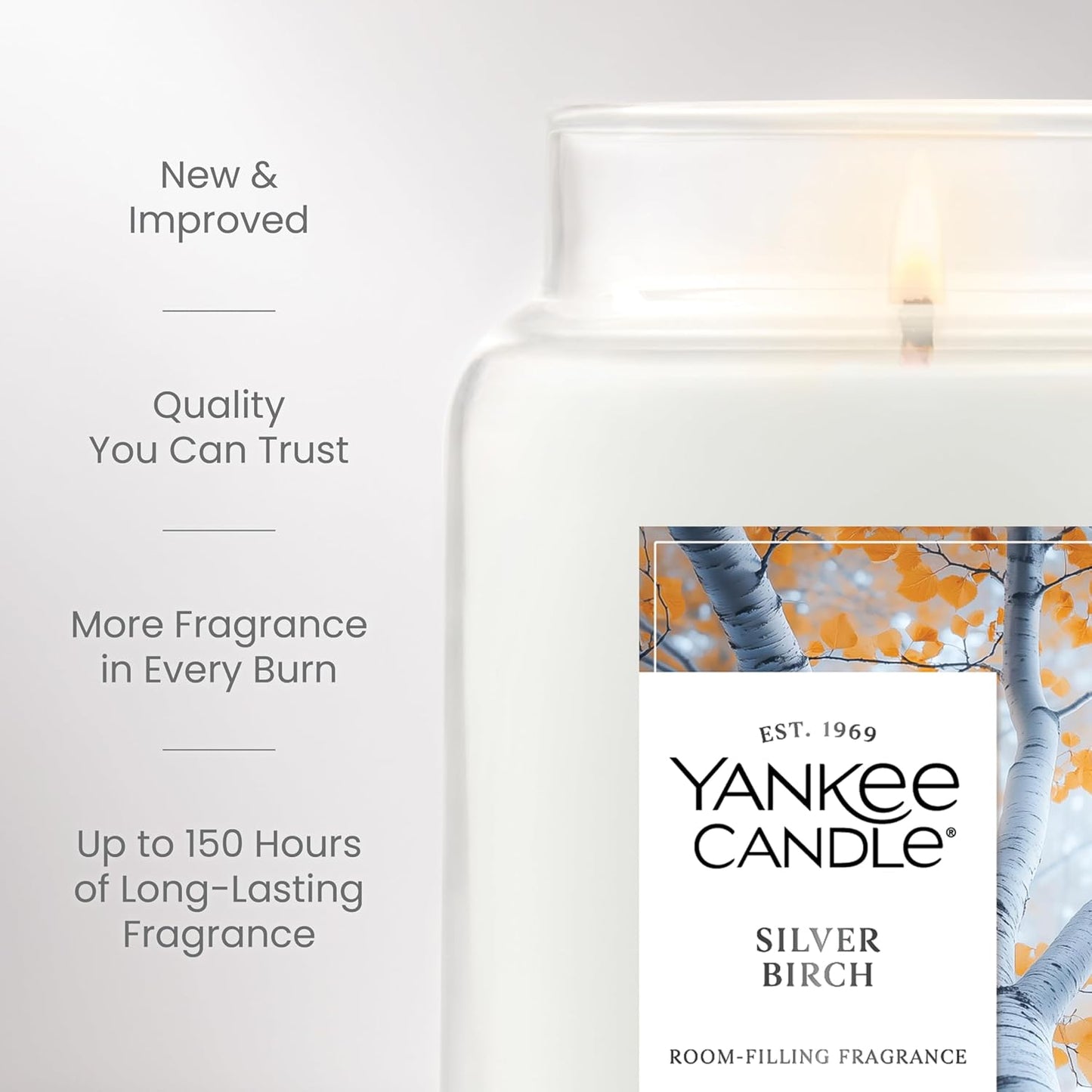 Yankee Candle, Silver Birch Fall Scented Candle, 22oz Large Jar with up to 150 Hour Burn Time