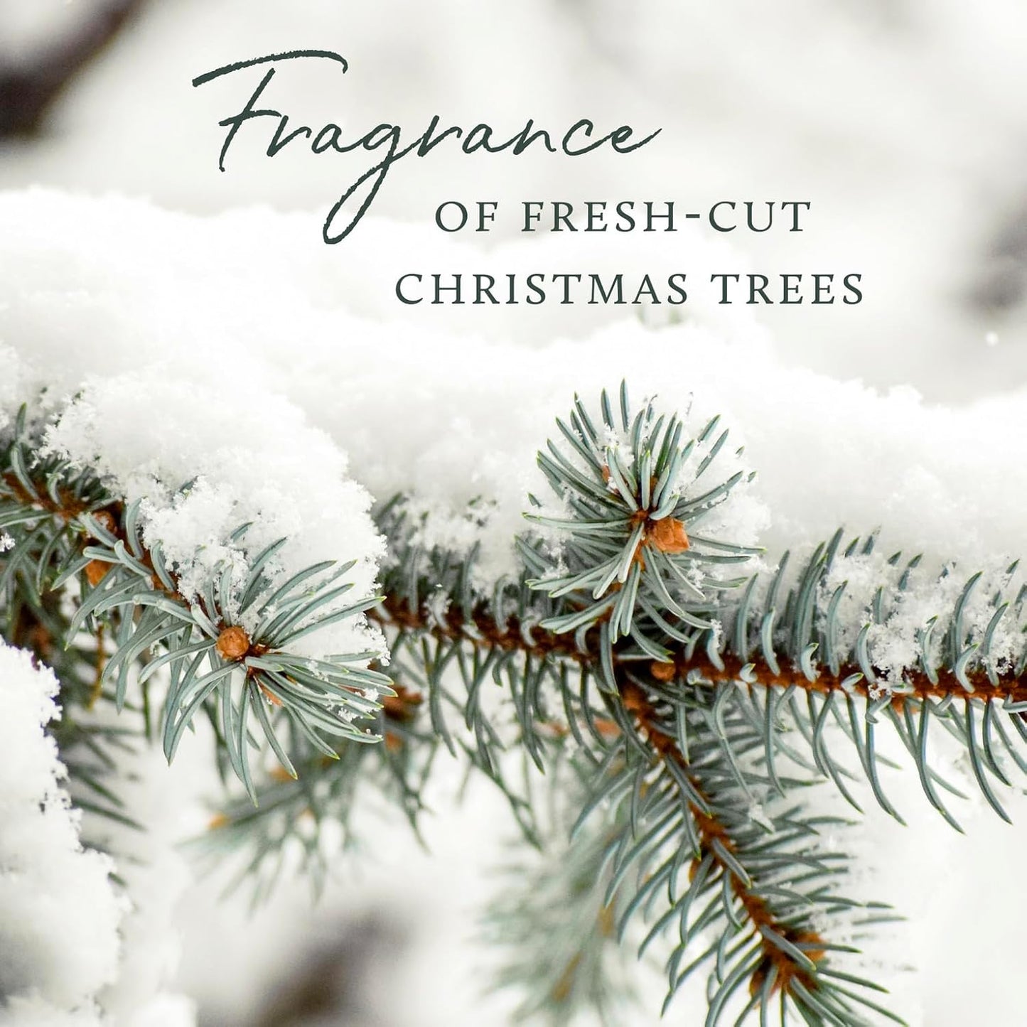 Thymes Frasier Fir Scented Candles for Home Decor - Green Pillar Candles for Women & Men - Place on Candle Holder - Luxury Home Fragrance Gifts (Molded Pinecone Pillar)